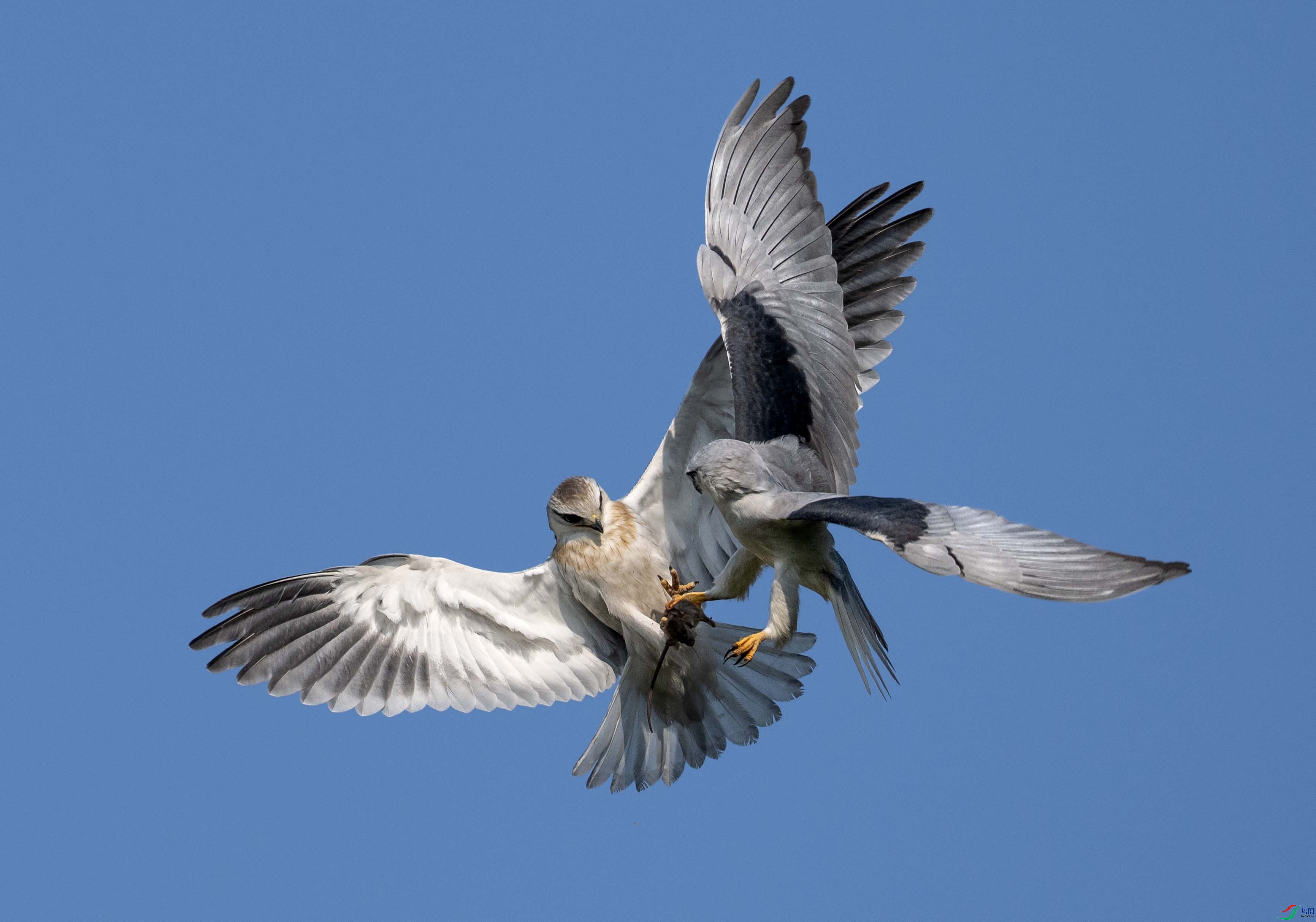 DSC_5992 ����1.jpg