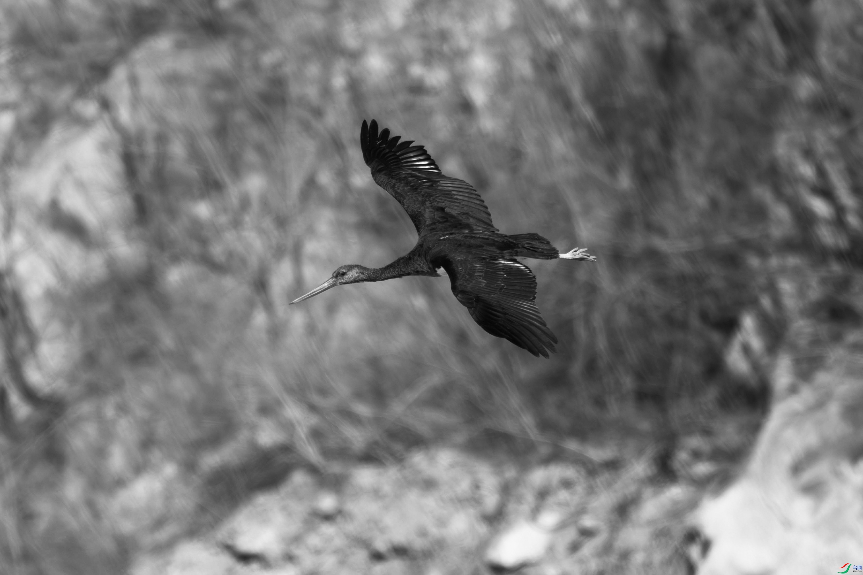 DSC_2064-.jpg