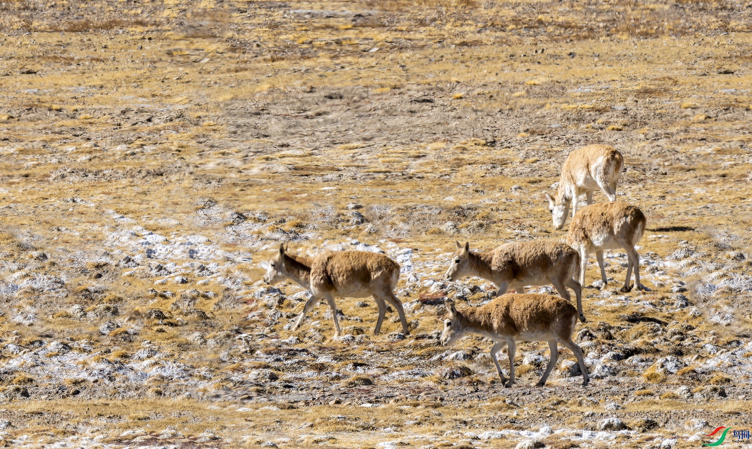 ������ (3) -01.jpg