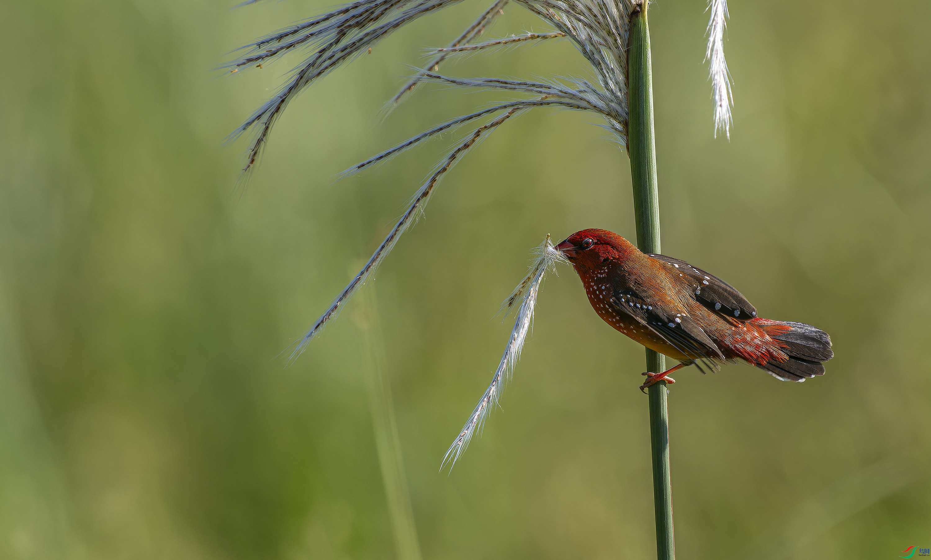 ��÷��ȸ (11)-1.jpg