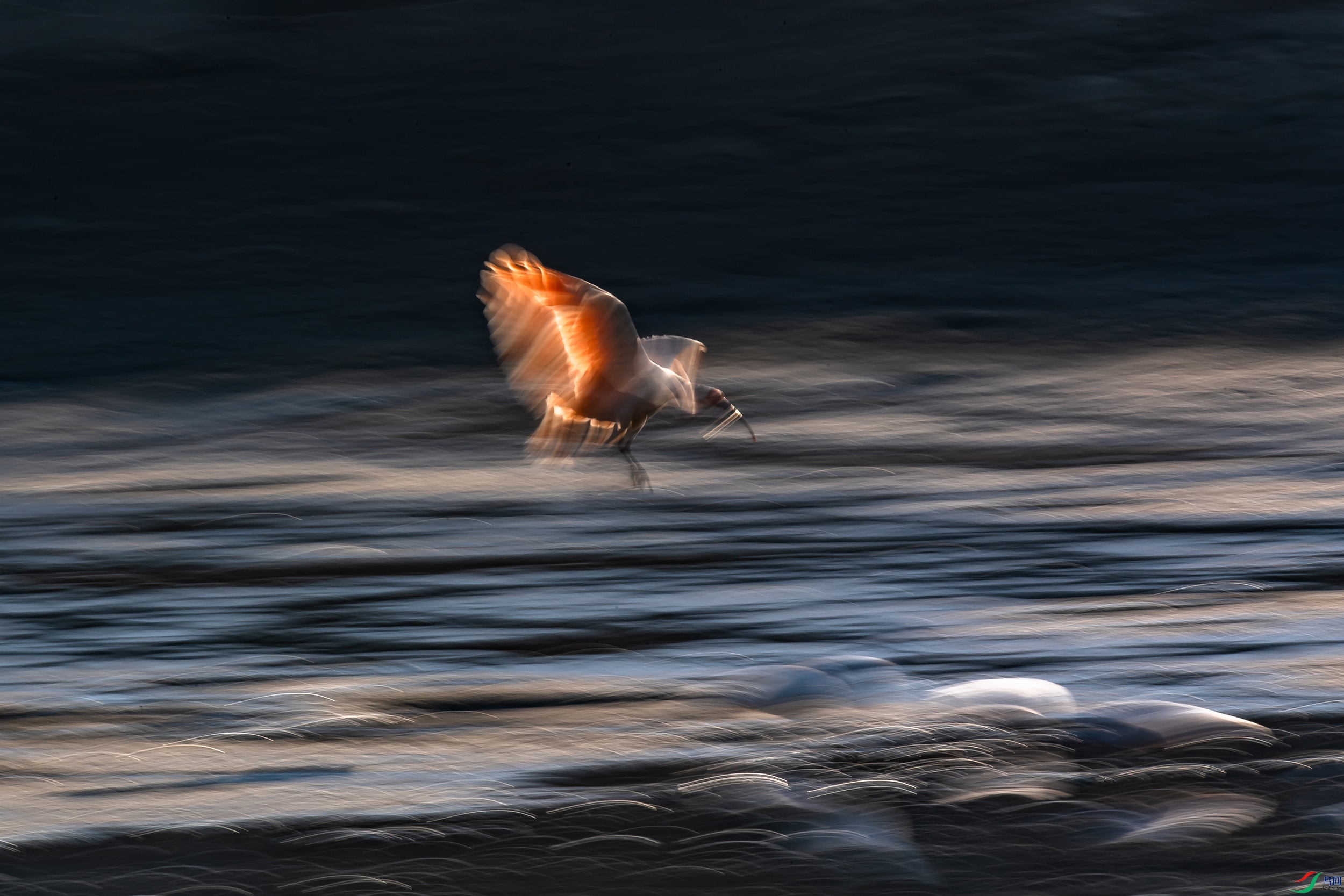 DSC_5017 ���� 2.jpg