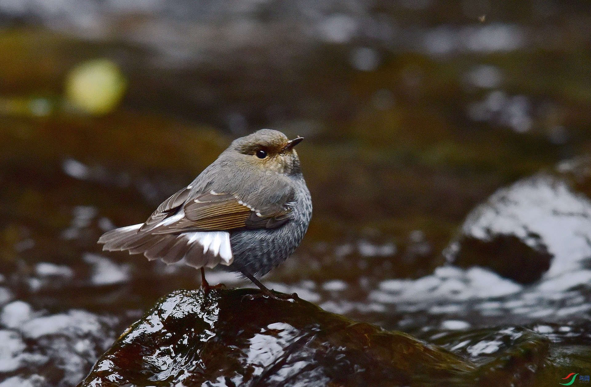 D8I_0560.jpg