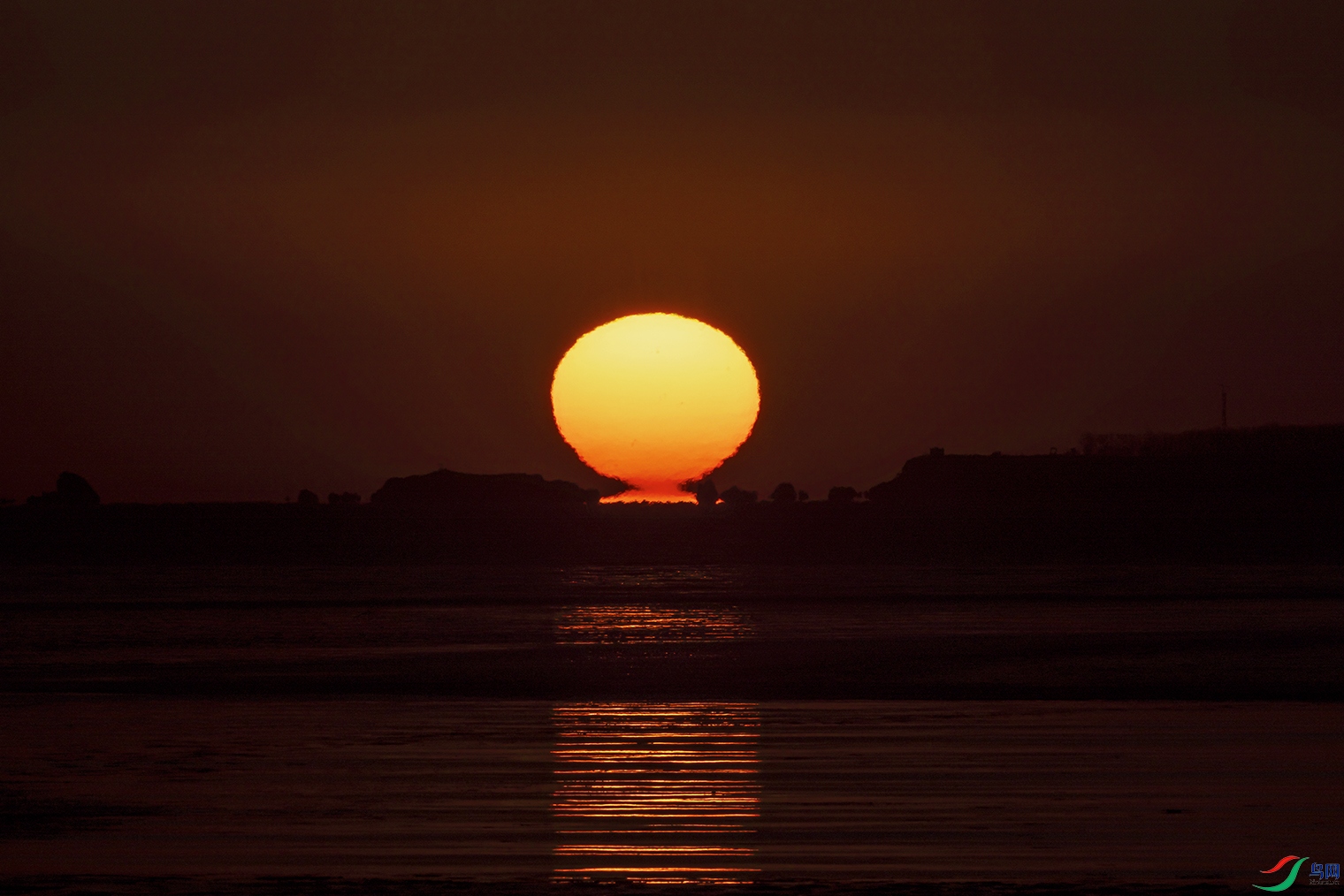 _5LM2302a.jpg