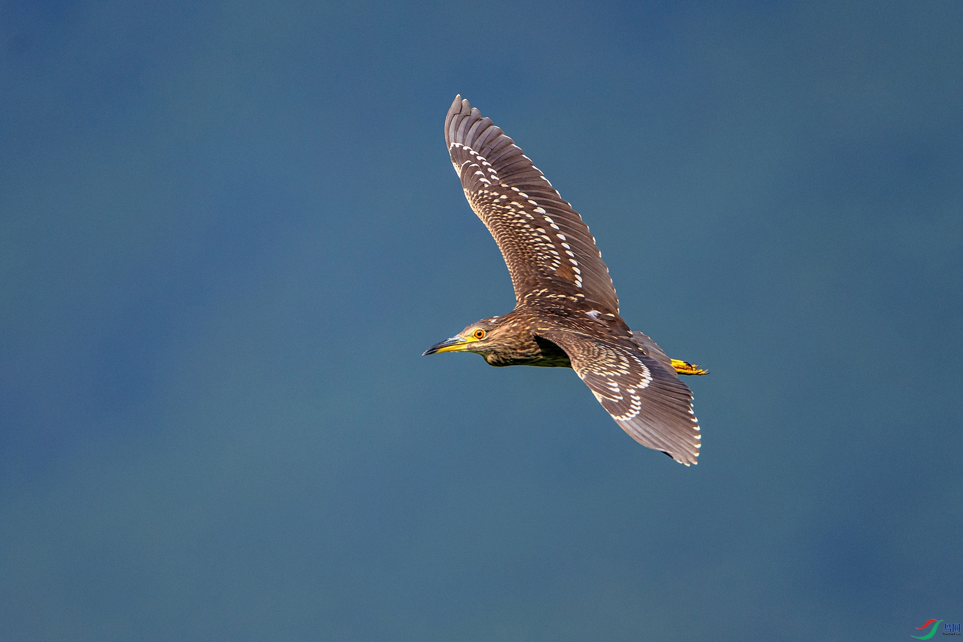 _AUU9378ҹ��(24.8.14).jpg