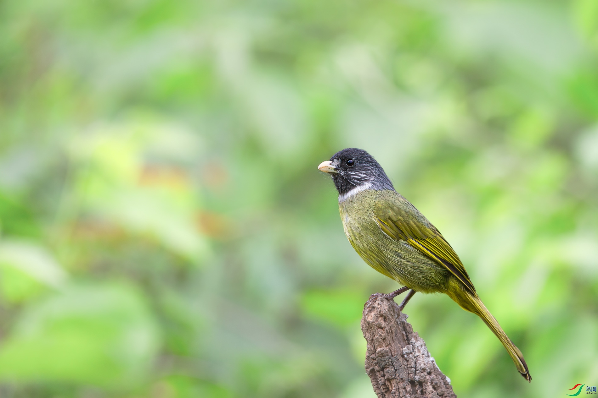AQ4P1795-1.jpg