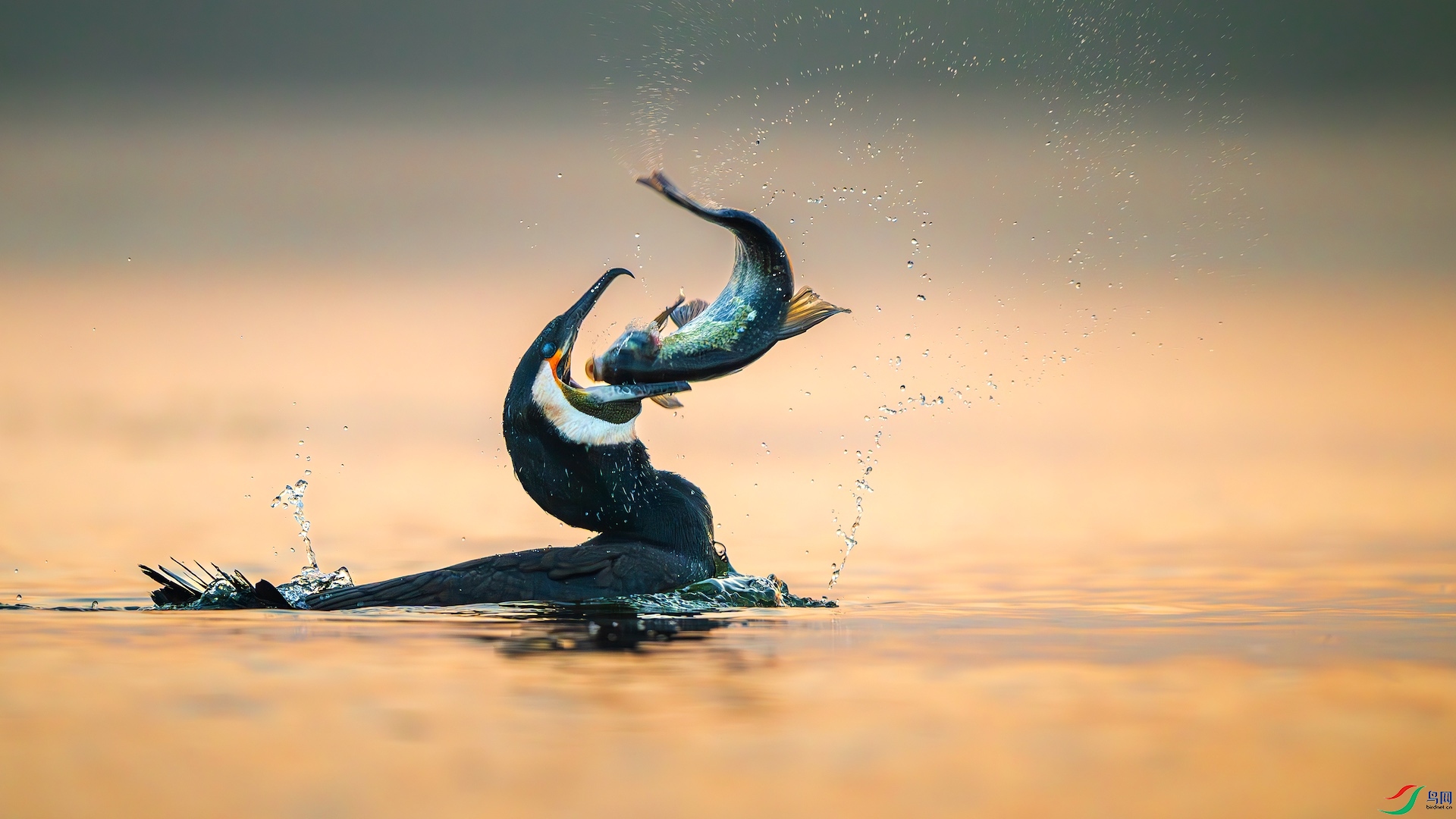 1_XXL0952-����ǿ-NR-1 2.jpeg