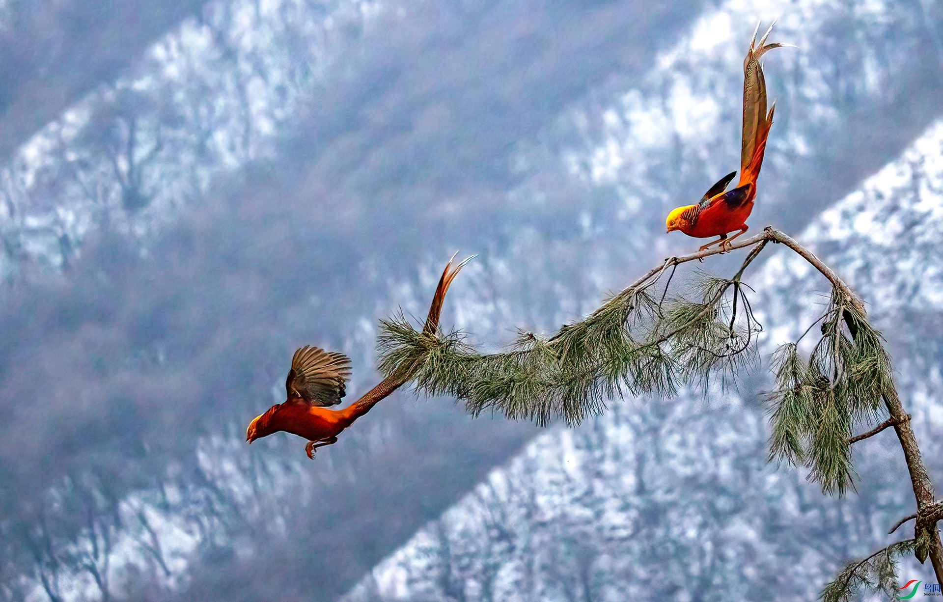 407A2362 ����-Sh--1 .jpg