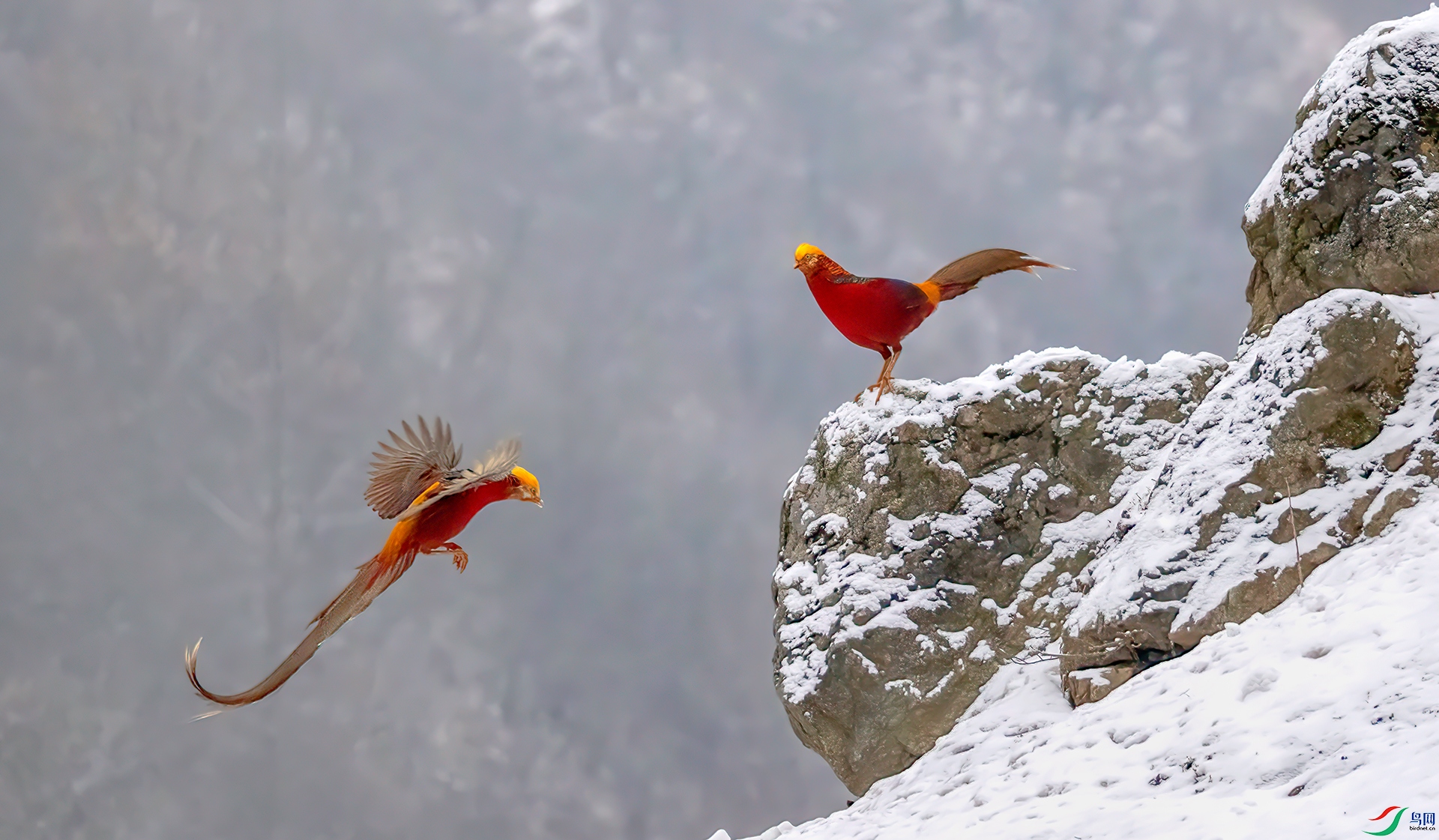 407A5942 ����-Sh----1  .jpg