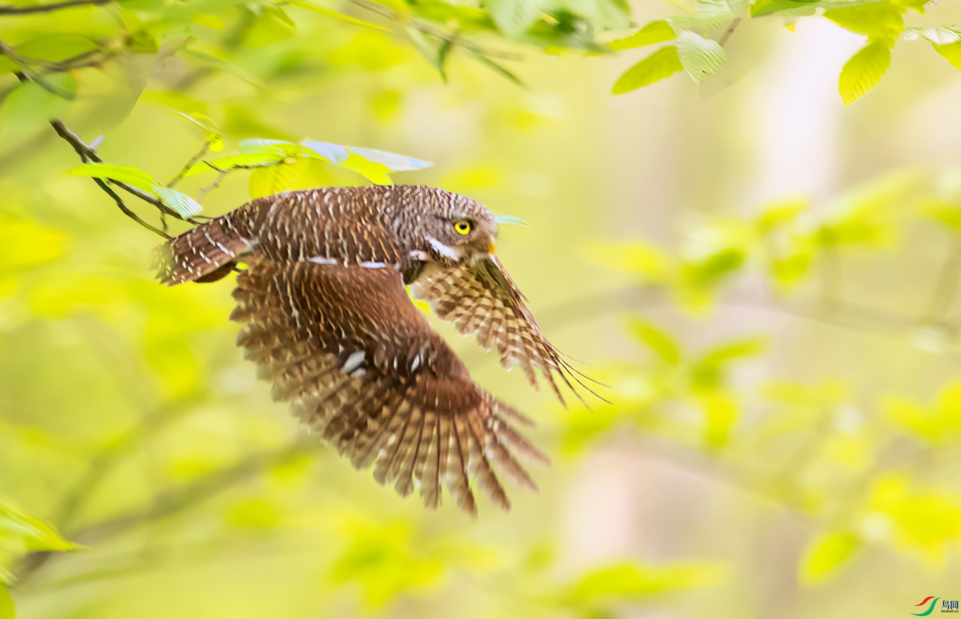 407A2603 ����-Sh----1 .jpg