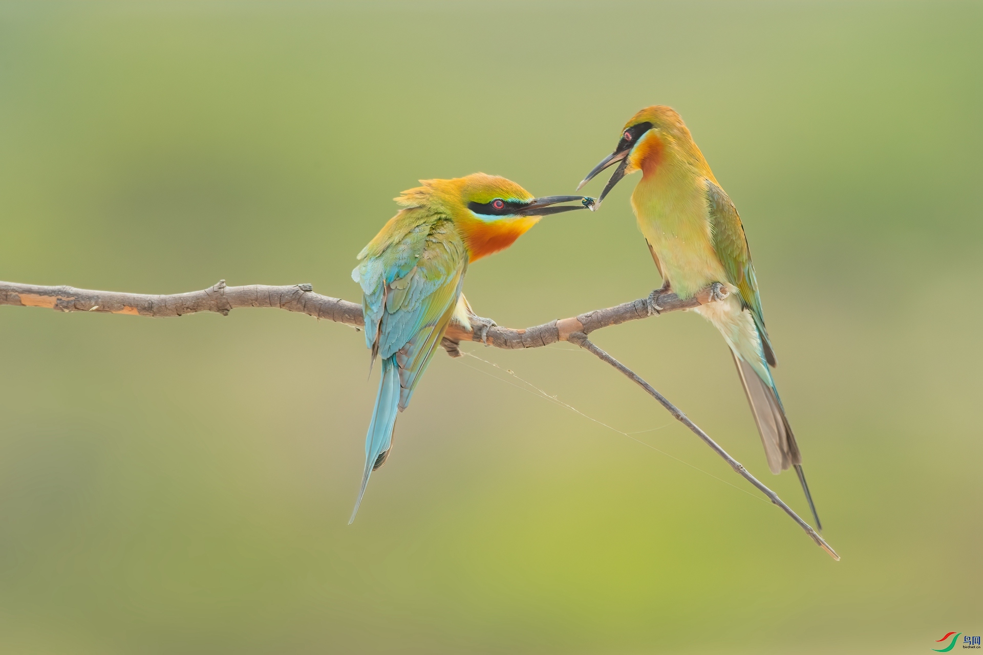 B86I5962 _����.jpg