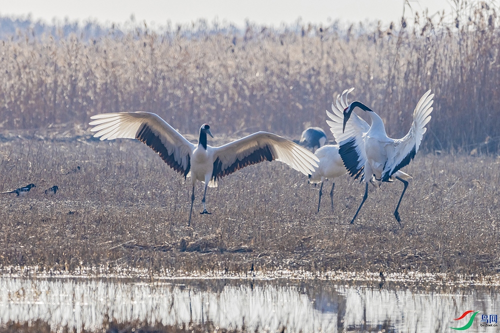 12AA5502 ���� 4.jpg