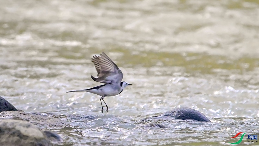 DSC_1022 ����.jpg