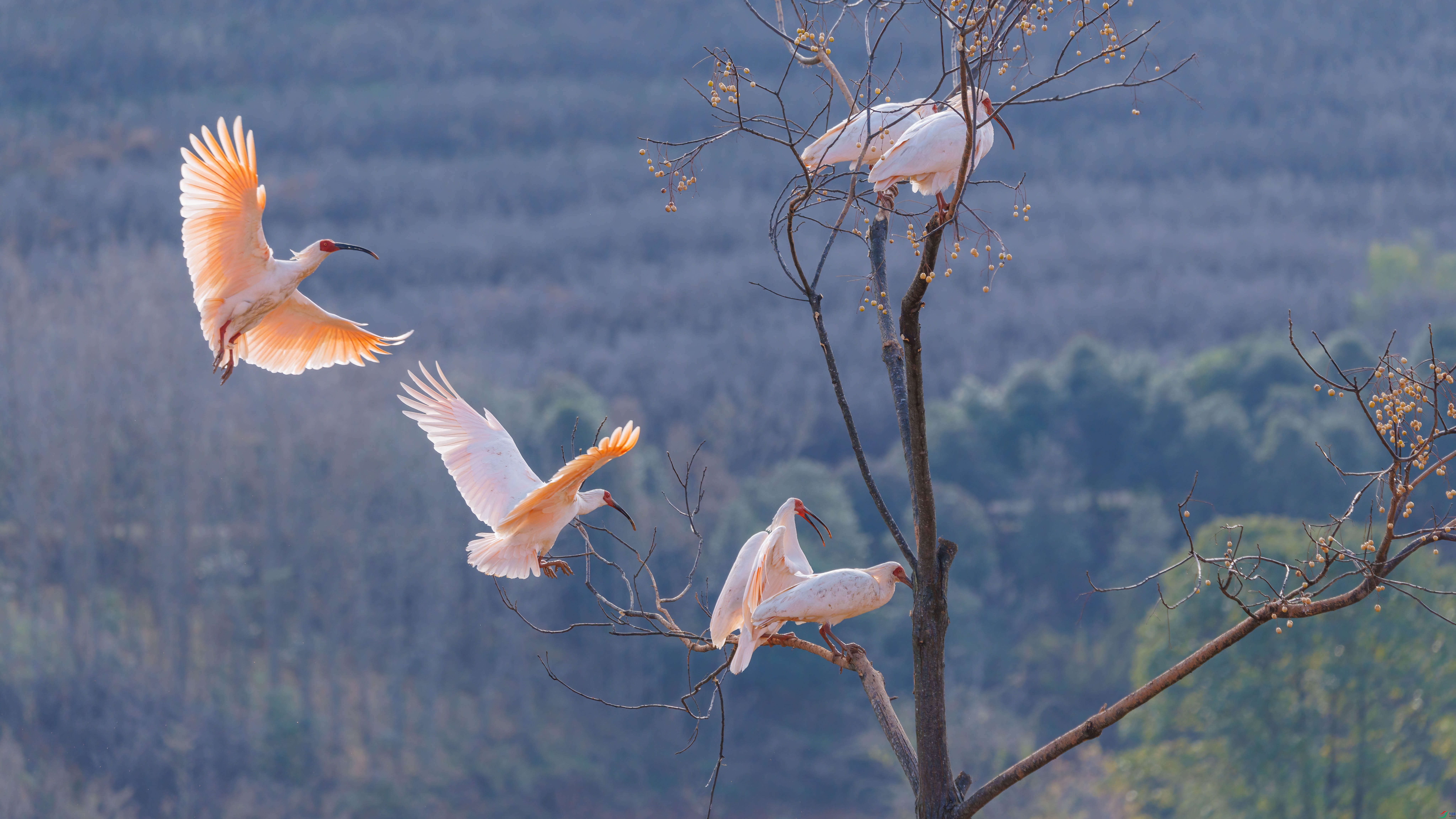 2I7A9772 ����.jpg