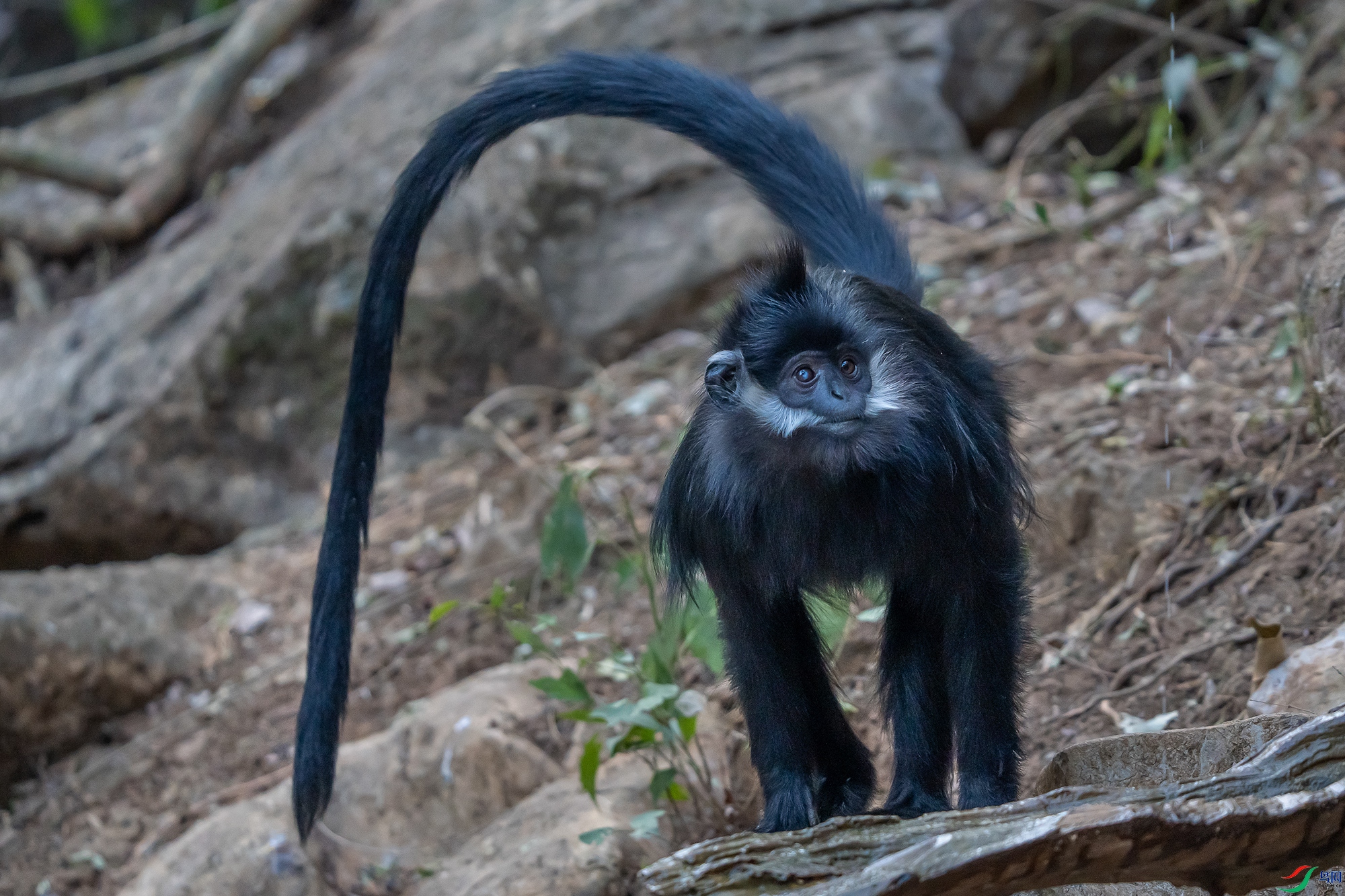 DSC08406 ���� 2.jpg