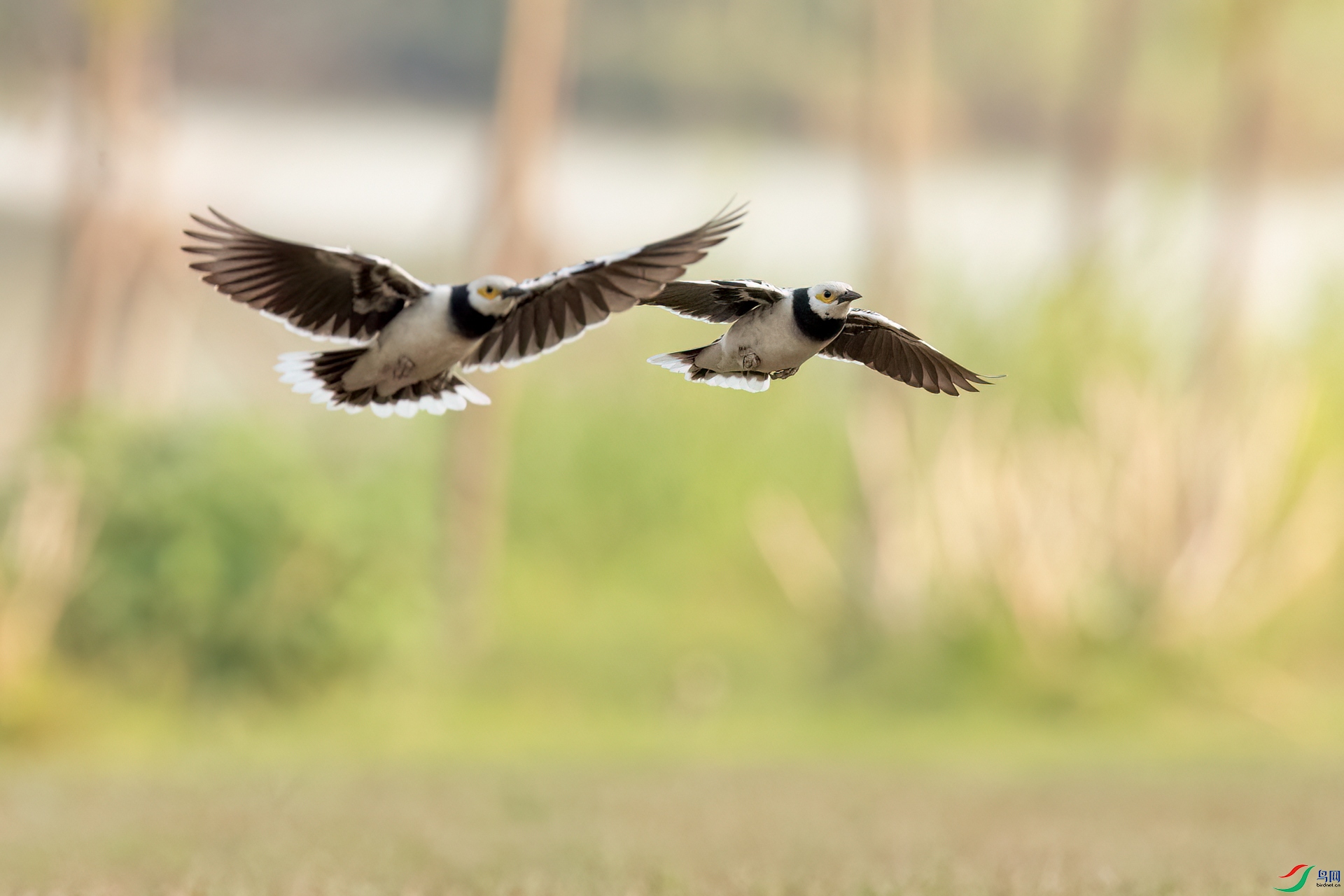 B86I4055 _����.jpg