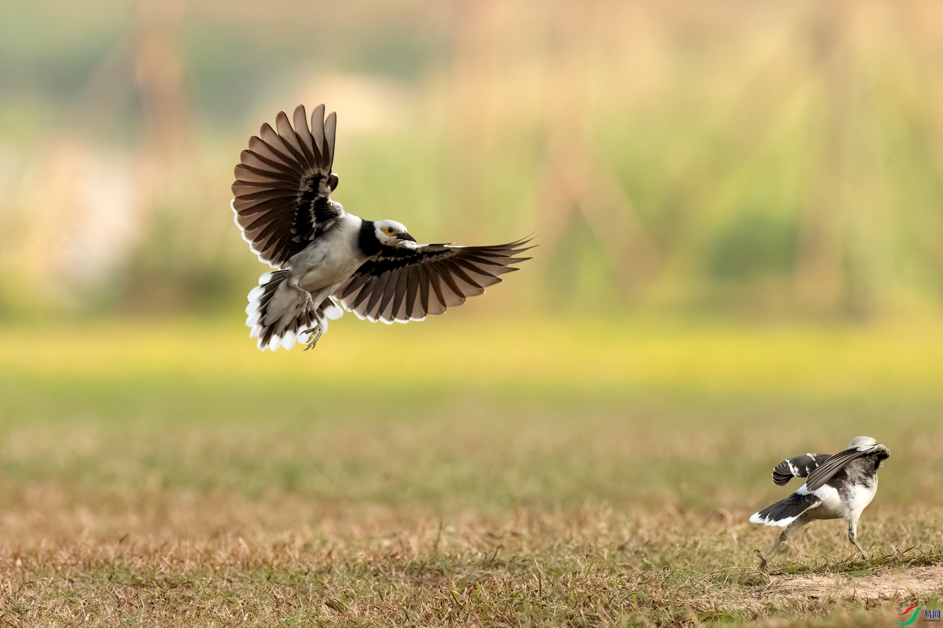 B86I4133 _����.jpg