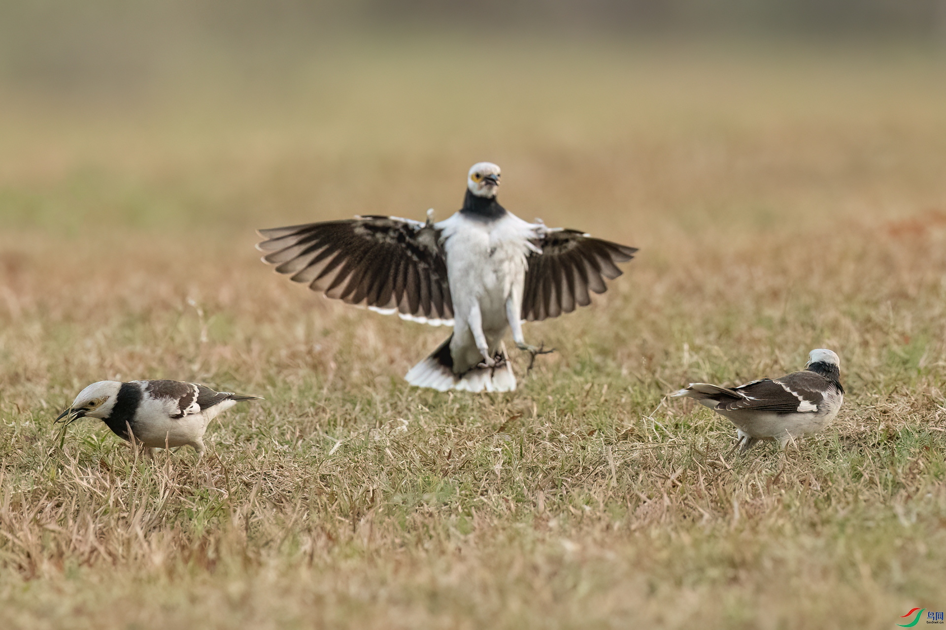 B86I5427 _����.jpg