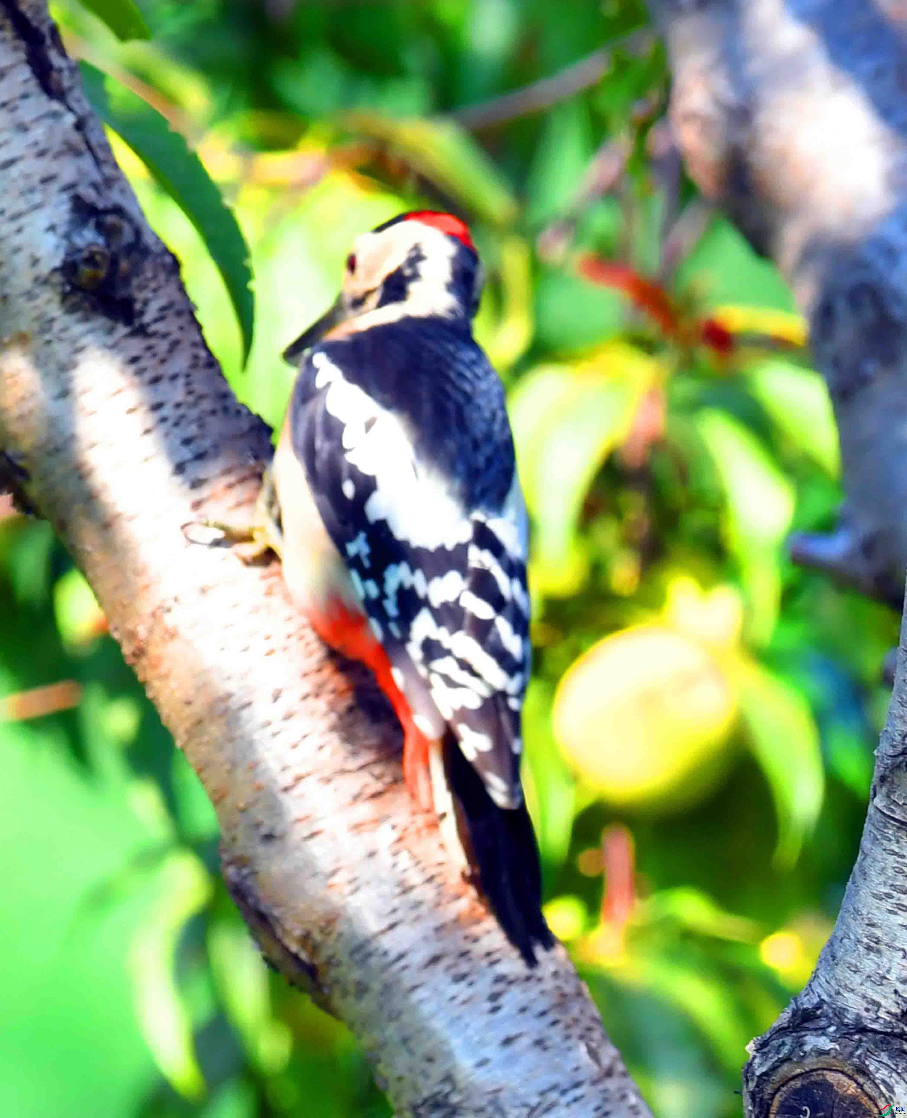 DSC_0365.JPG