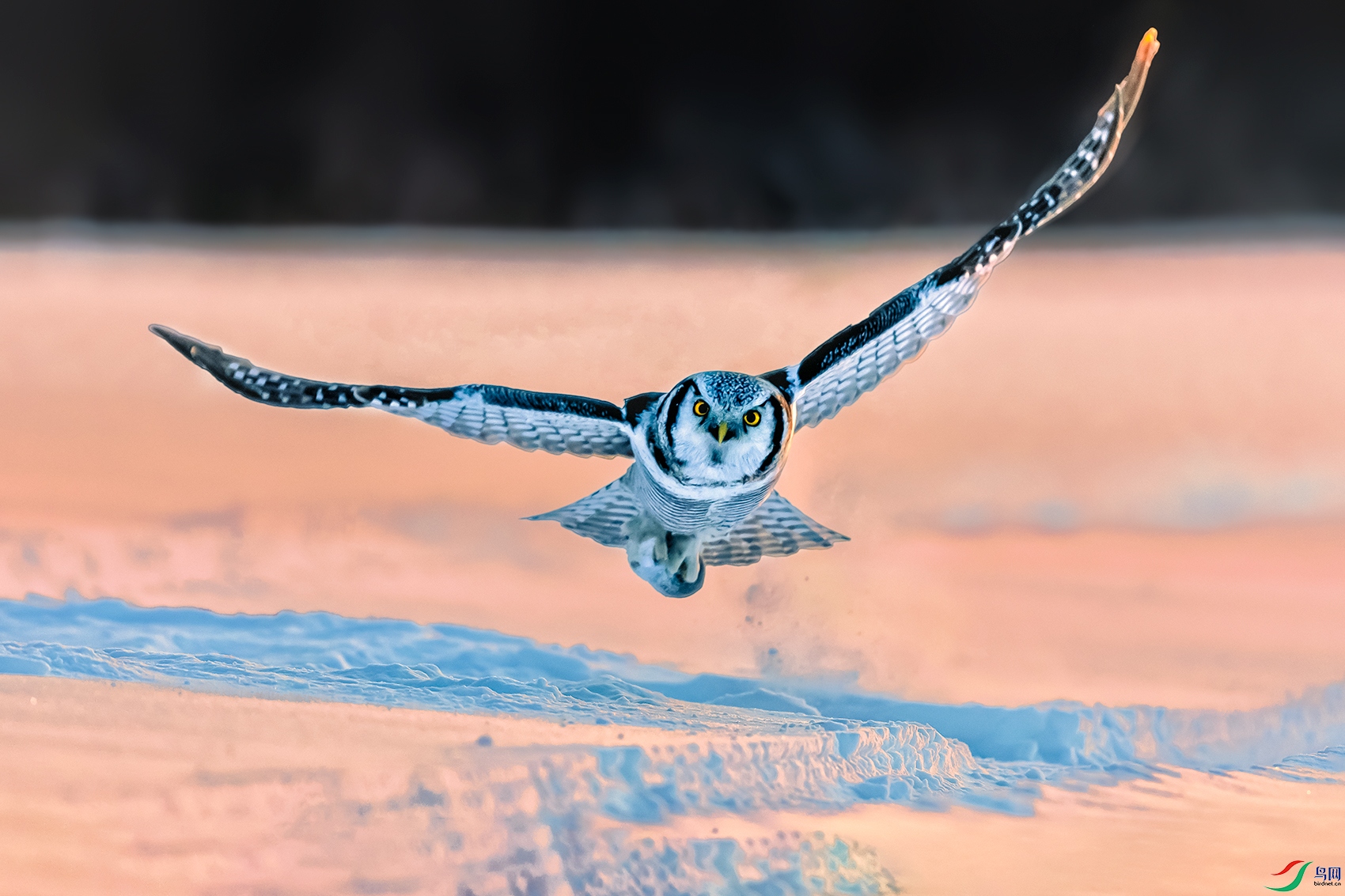 ���^----�ᵶ����ն��