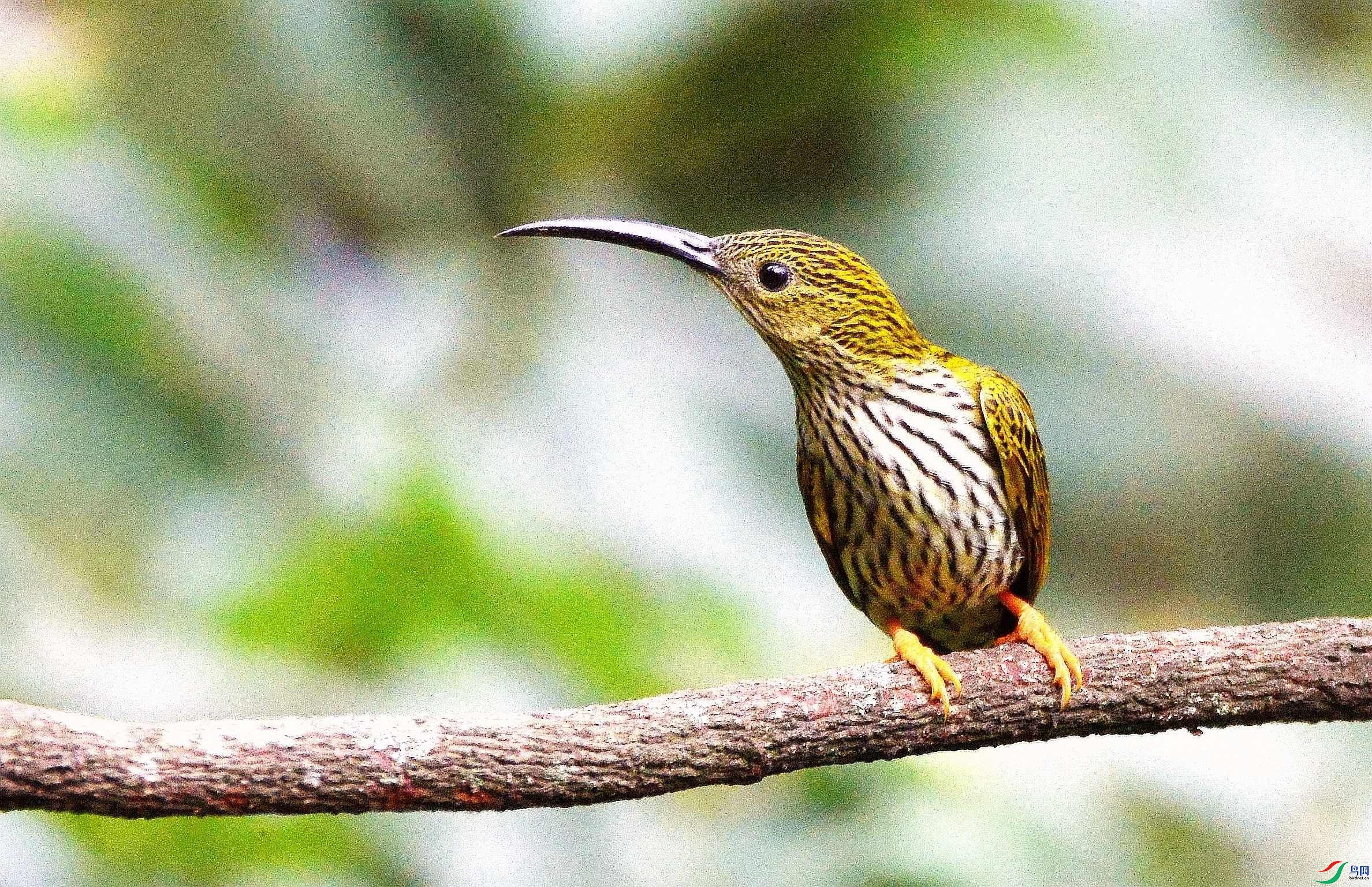 DSC_8280.JPG