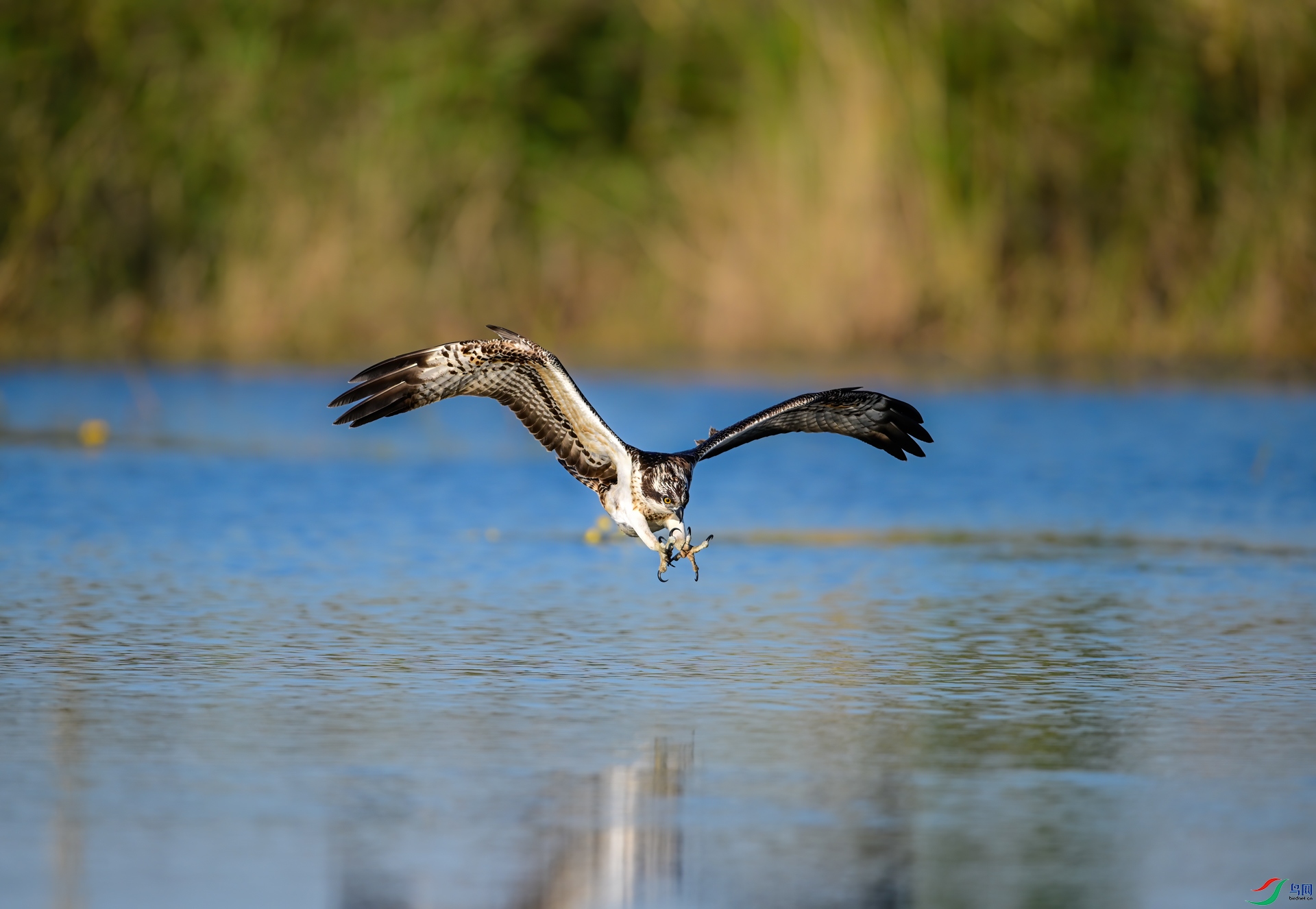 DSC_69533.jpg
