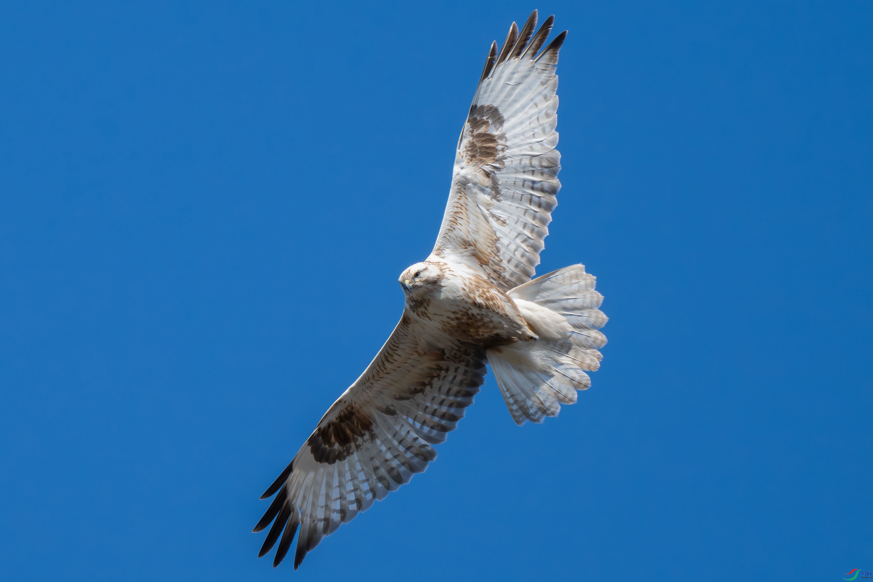 DSC_2209.jpg