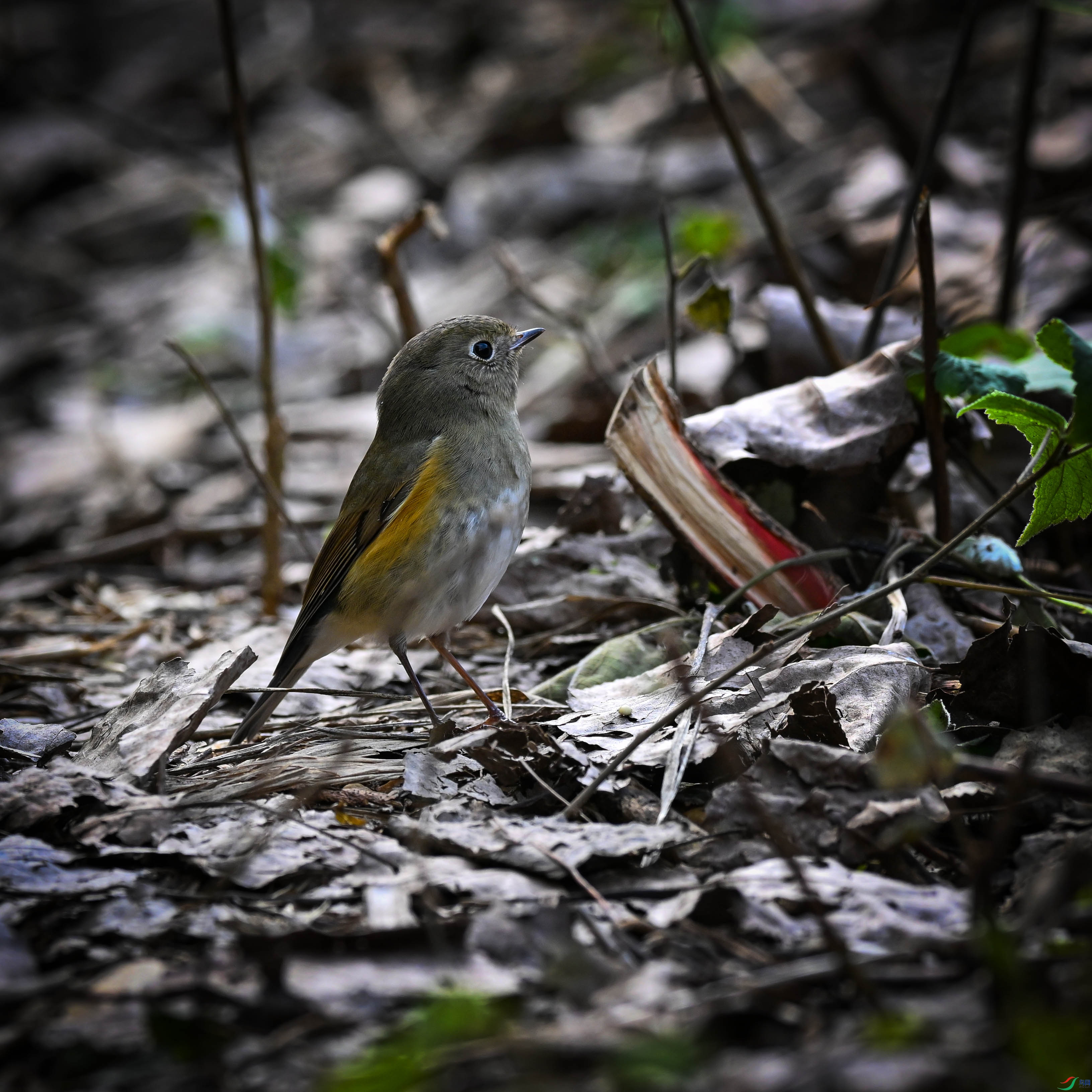 DSC_1228.jpg