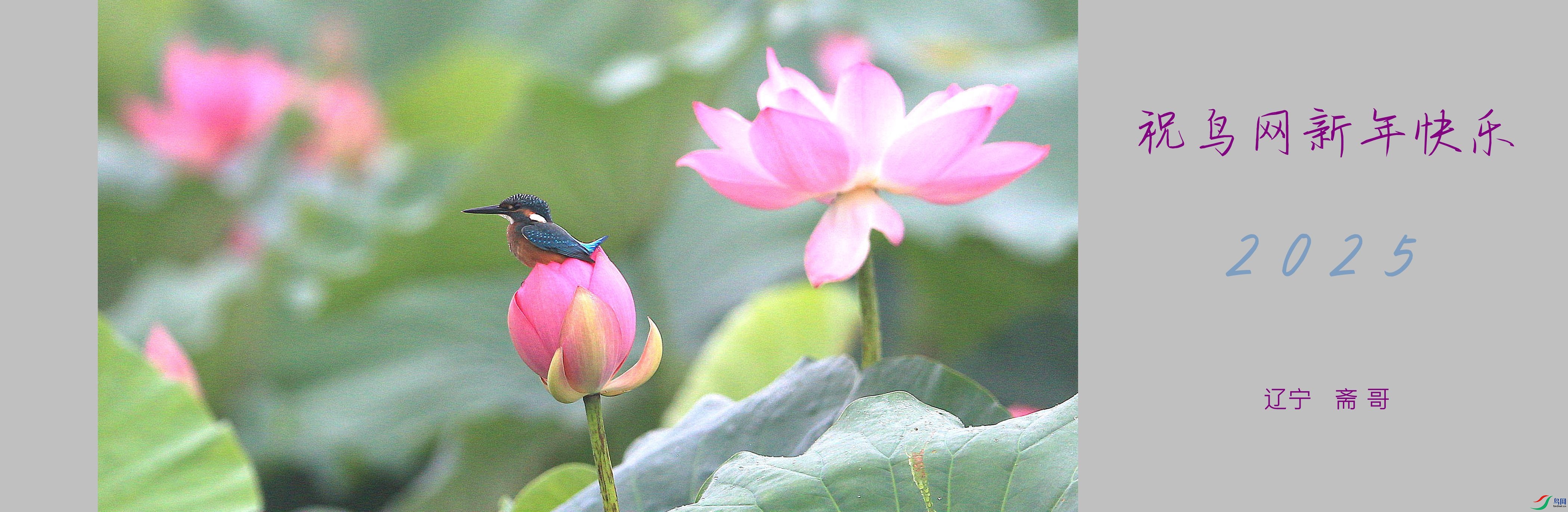 A 3843_����_����.jpg