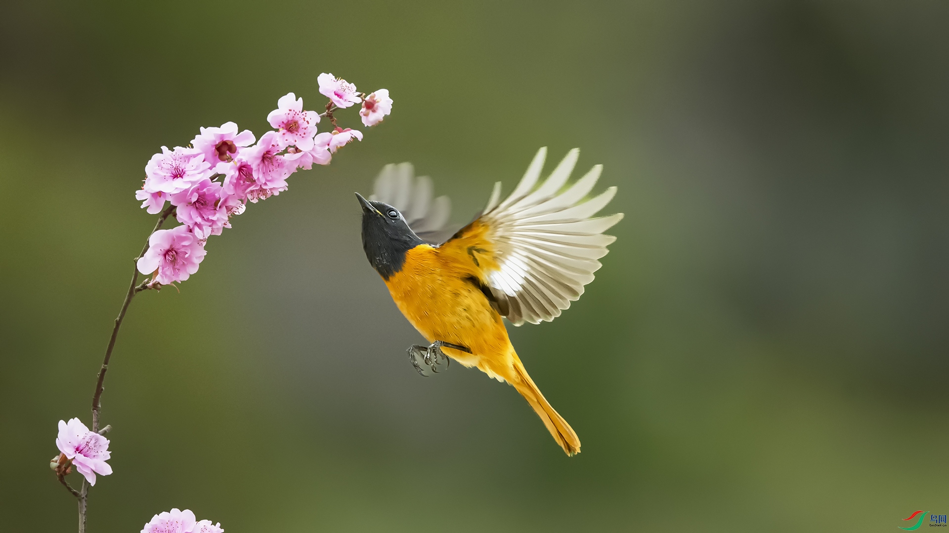 DSC_7378 ����.jpg