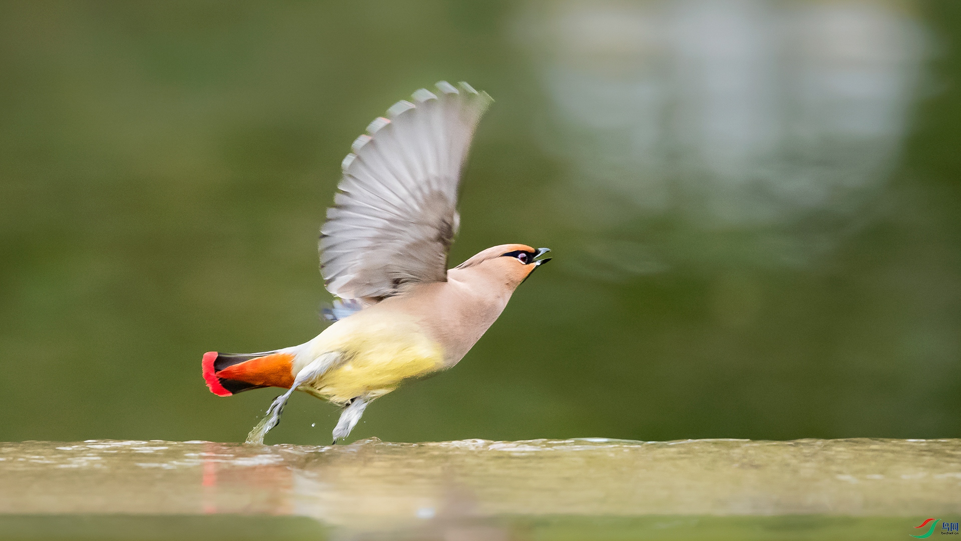 DSC_7544 ����_1.jpg