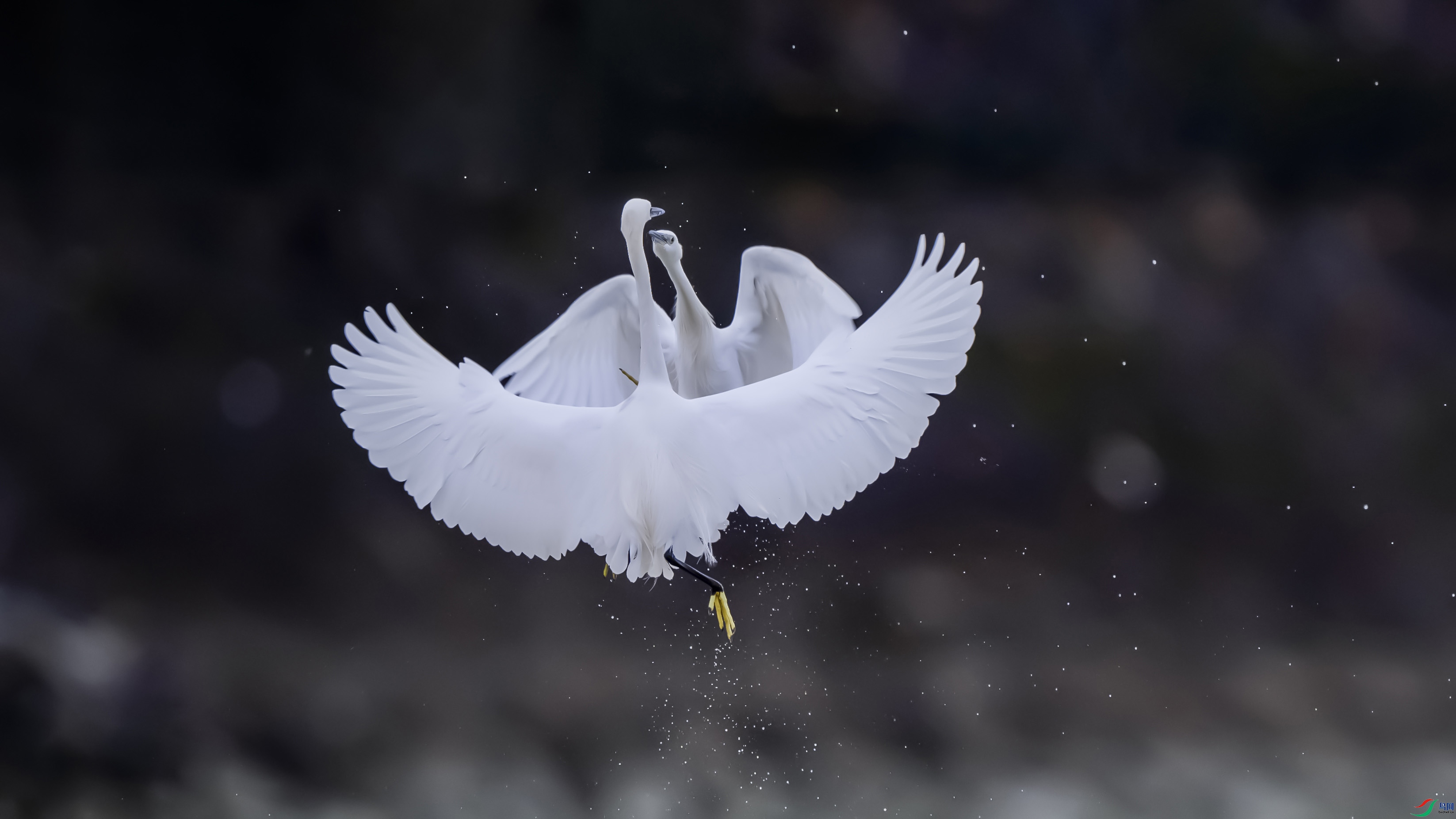 _DSC2953 ���� 2.jpg