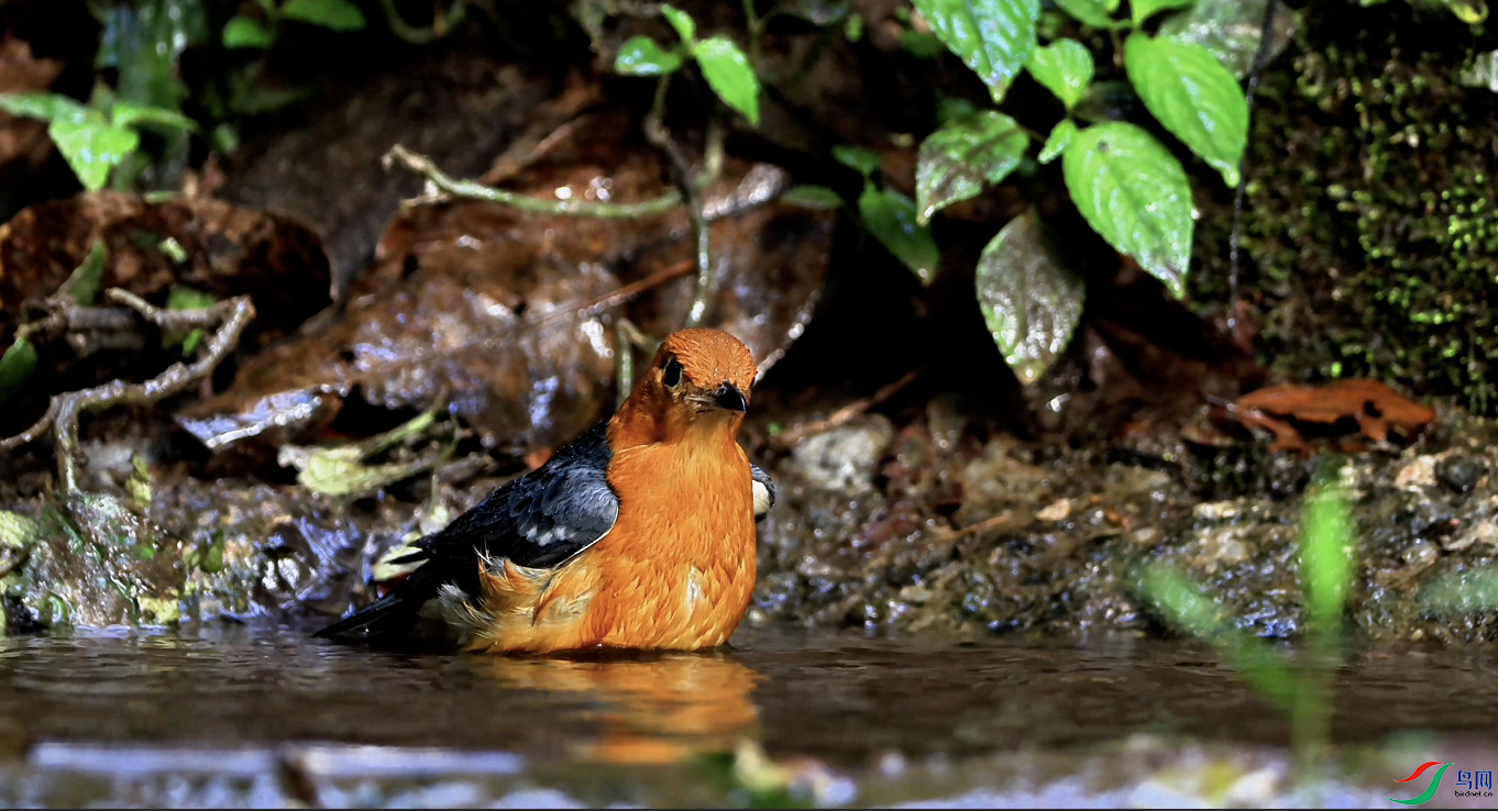 ����2025-01-02 15.18.18.png