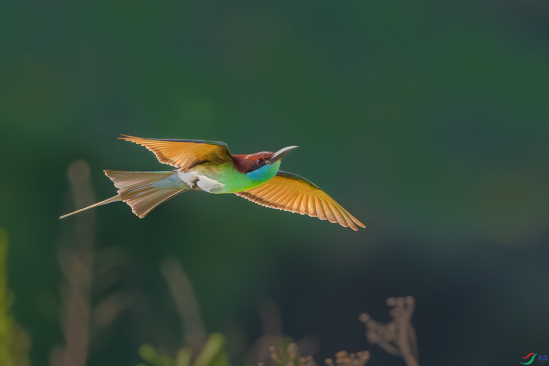 _DSC2378-����ǿ-NR ����С.jpg