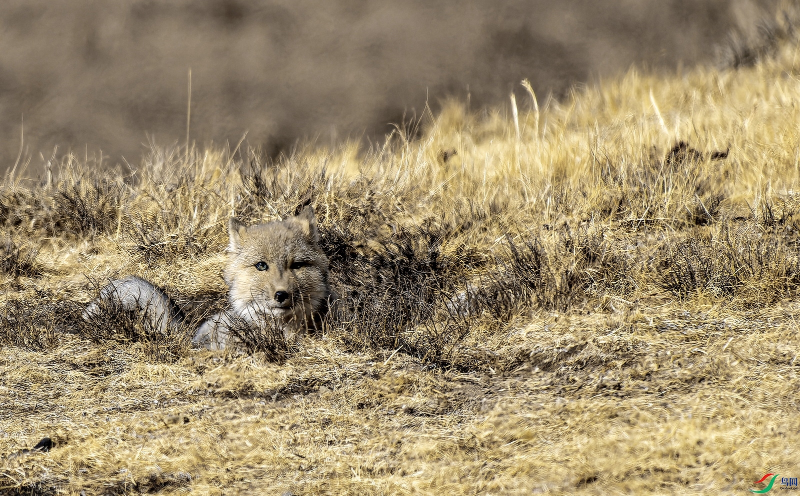 �غ� ��2023�� (404)-1.jpg