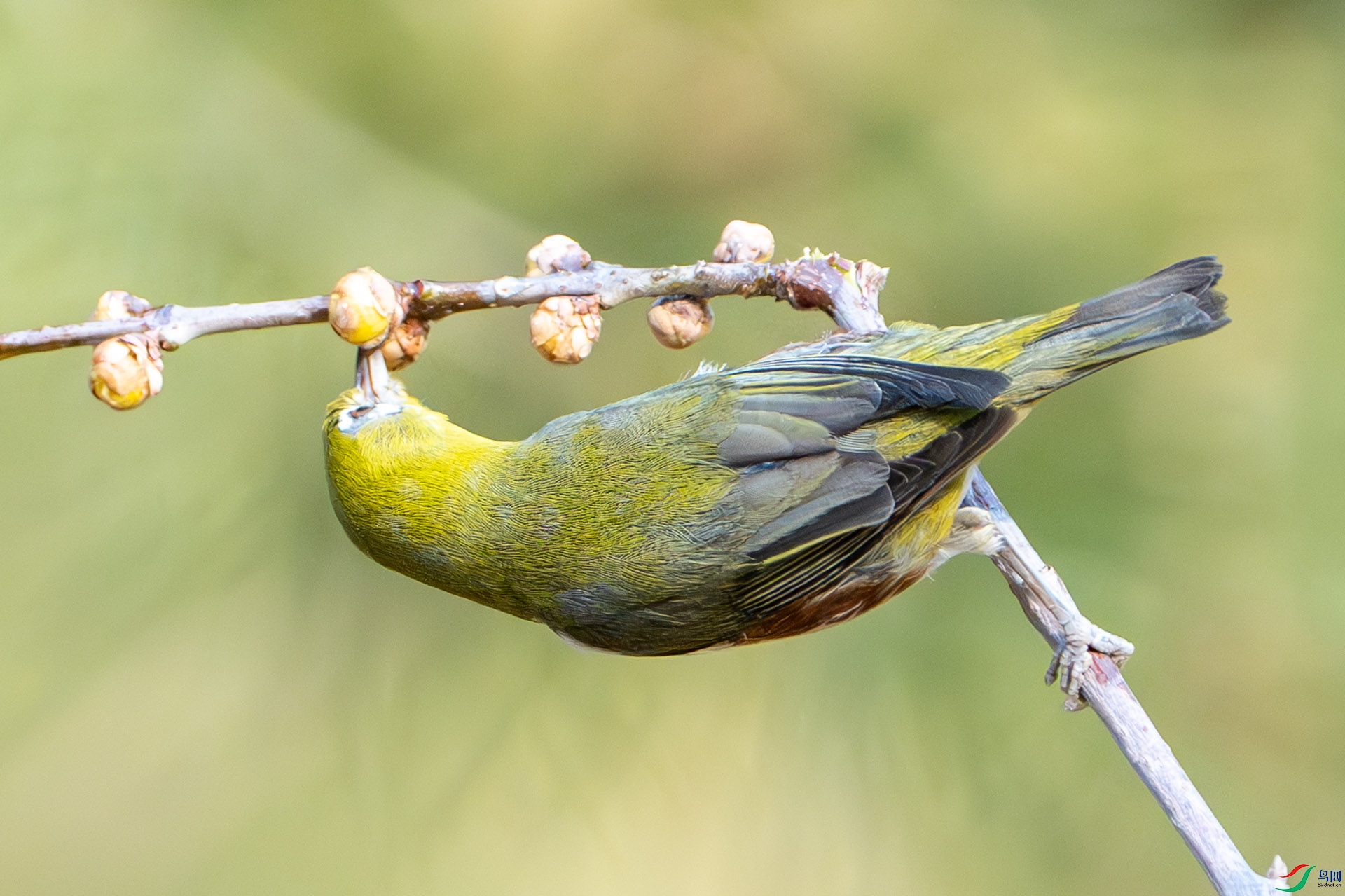 DSC00007-����ǿ-NR ����.jpg