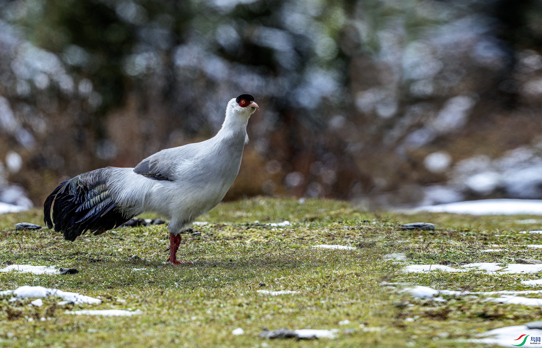 ������ (184)-1.jpg