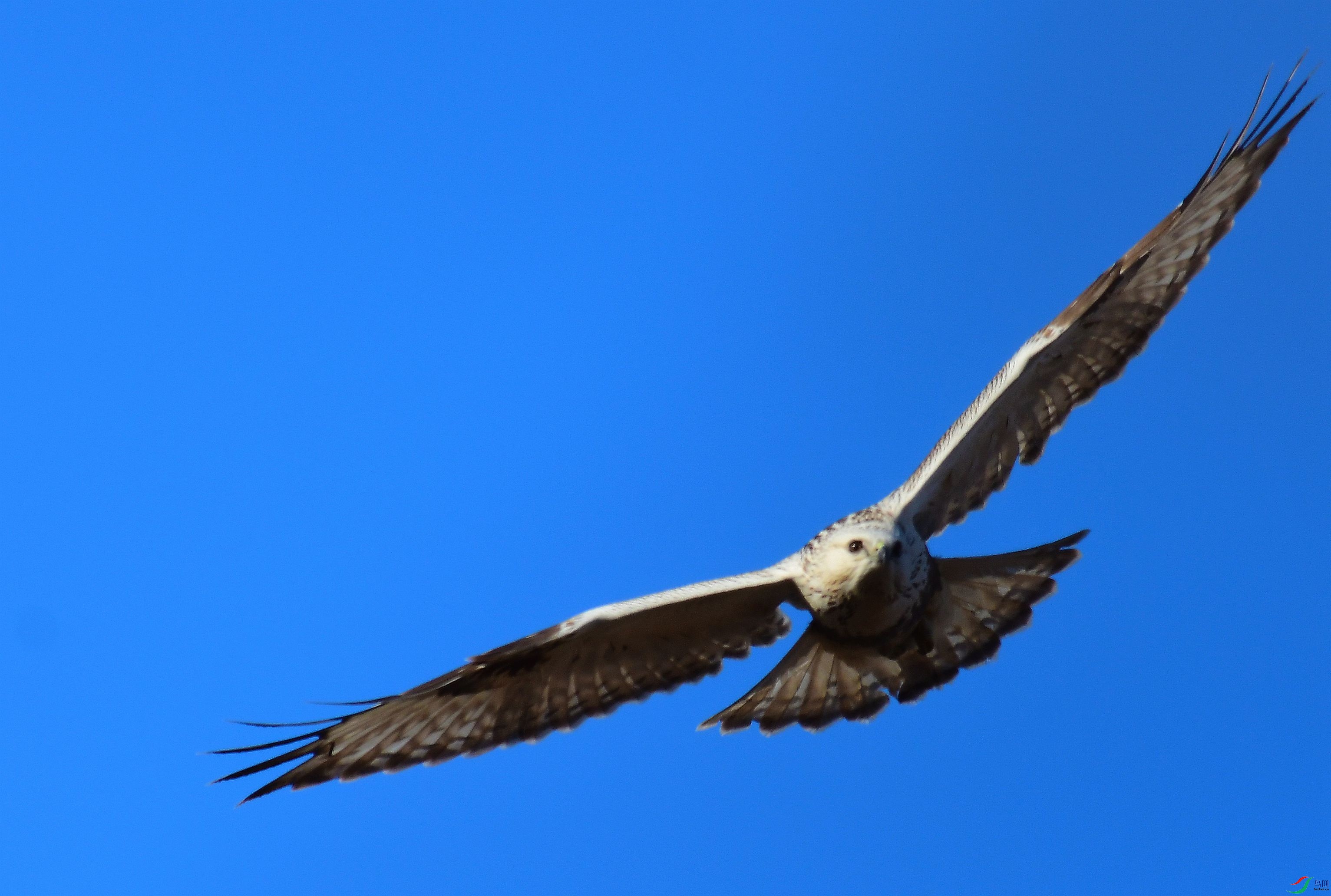DSC_7478.JPG