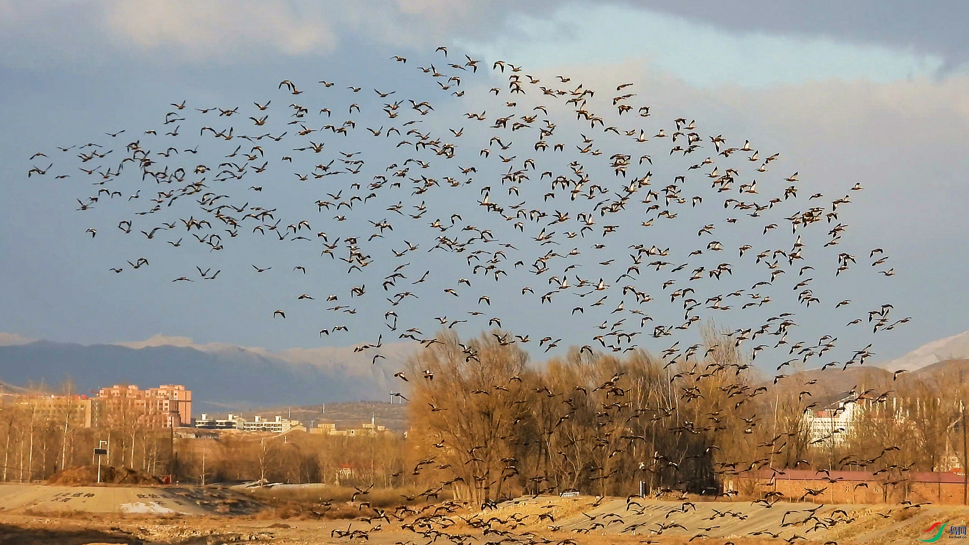 DSCN6699 ����_��ͼ��_����.jpg