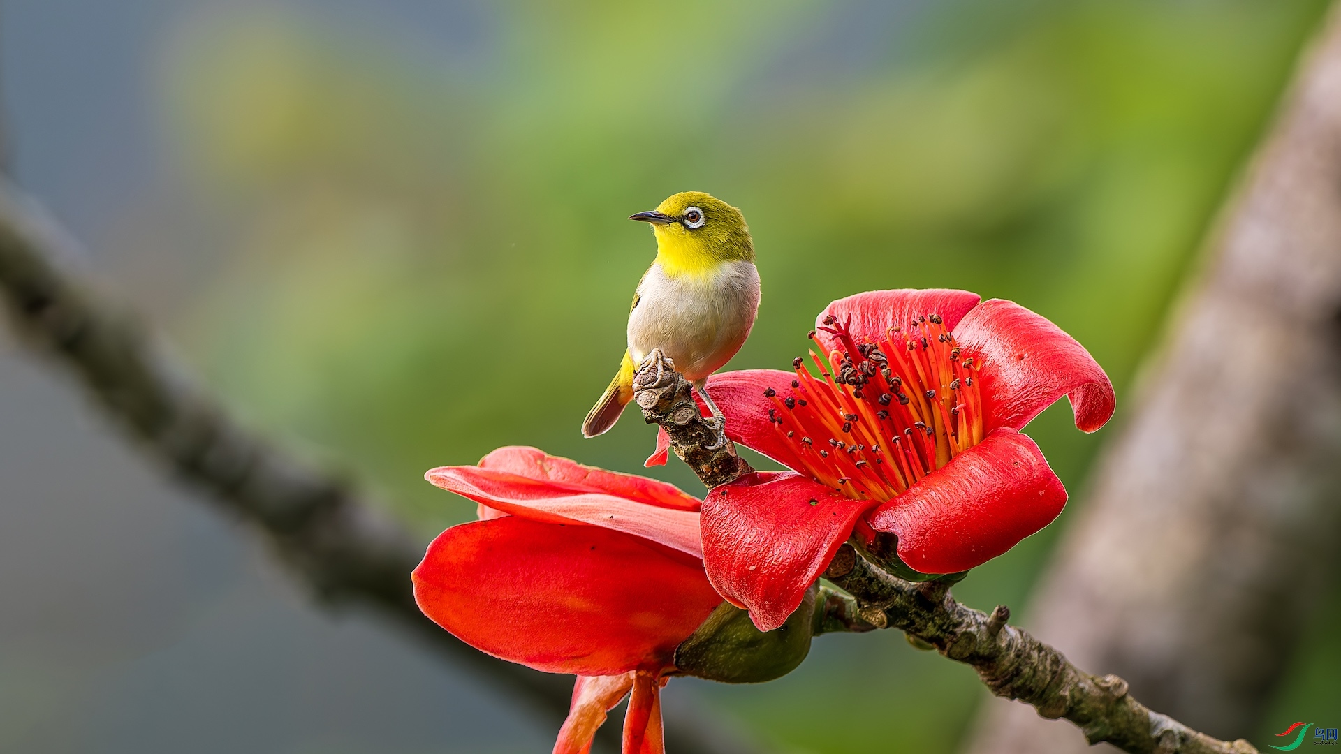 1_XXL5601-����ǿ-NR ���� 2.jpeg