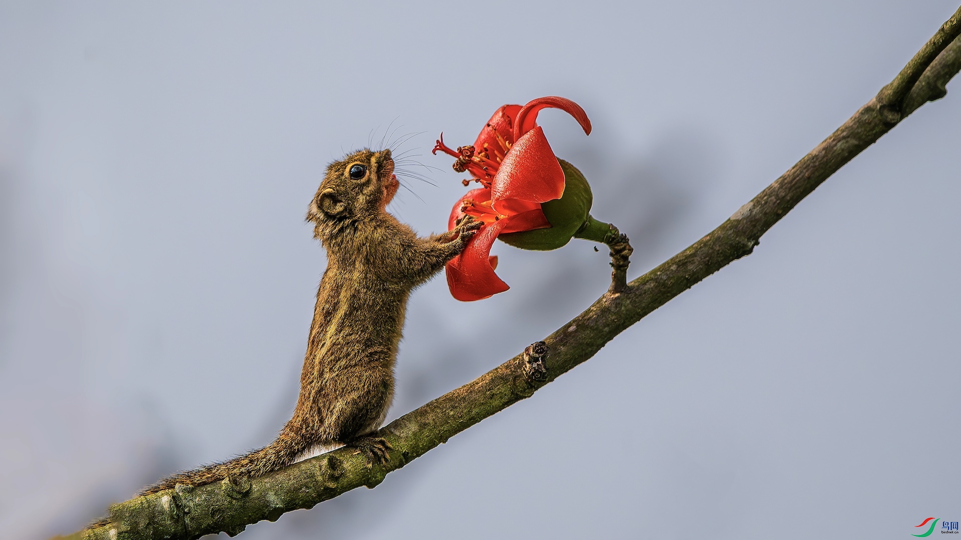 1_XXL5627-����ǿ-NR ���� 2.jpeg