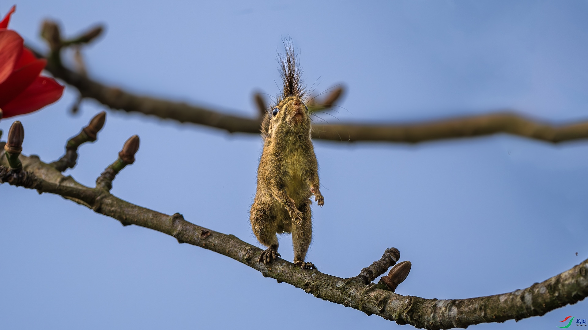 1_XXL5716-����ǿ-NR ����.jpeg