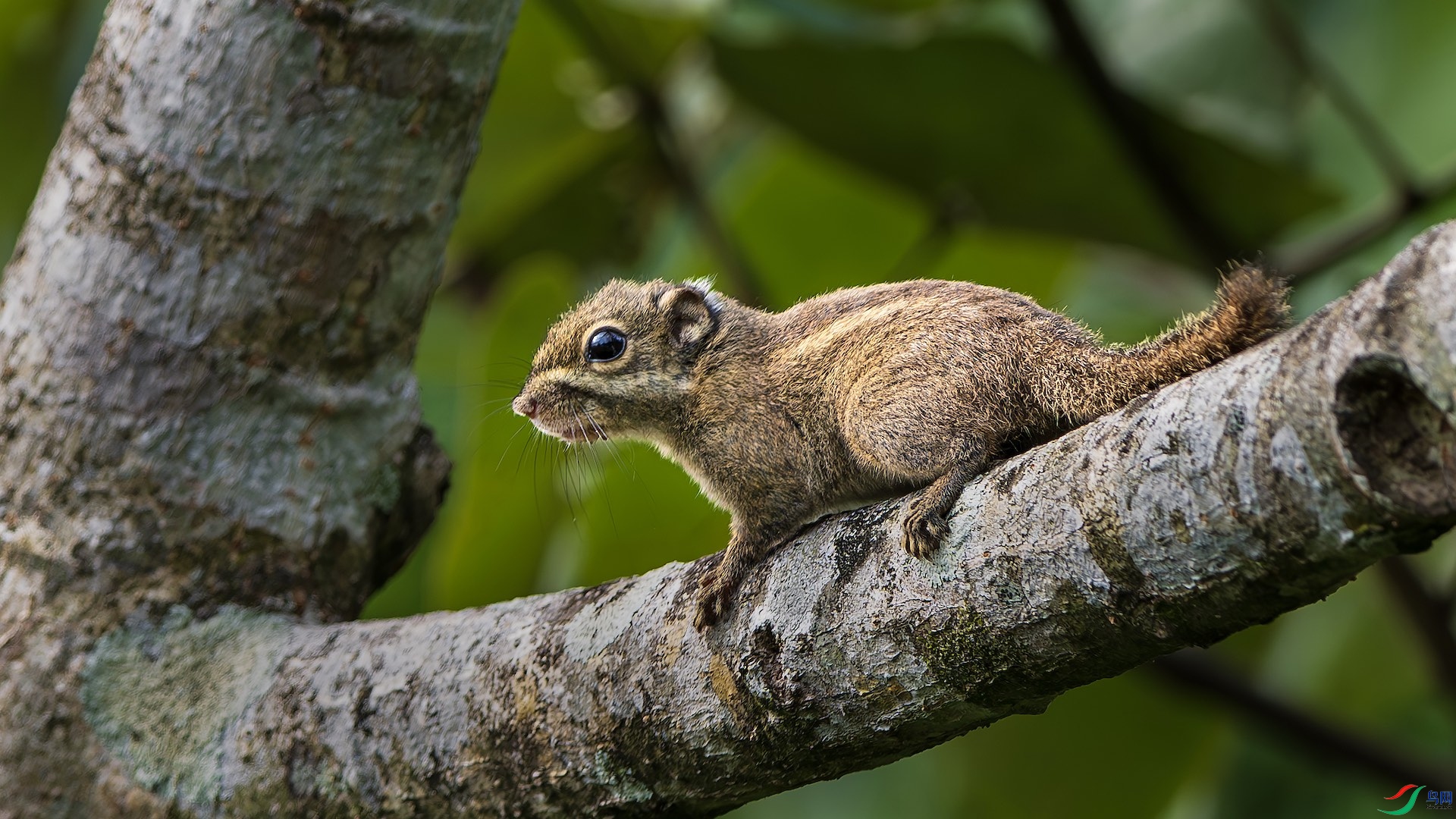 1_XXL5734-����ǿ-NR ����.jpeg