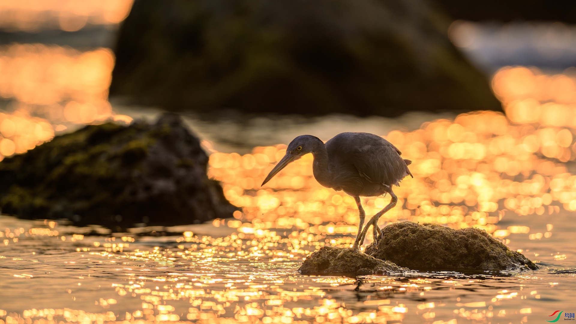 1_XXL7644-����ǿ-NR ����.jpeg