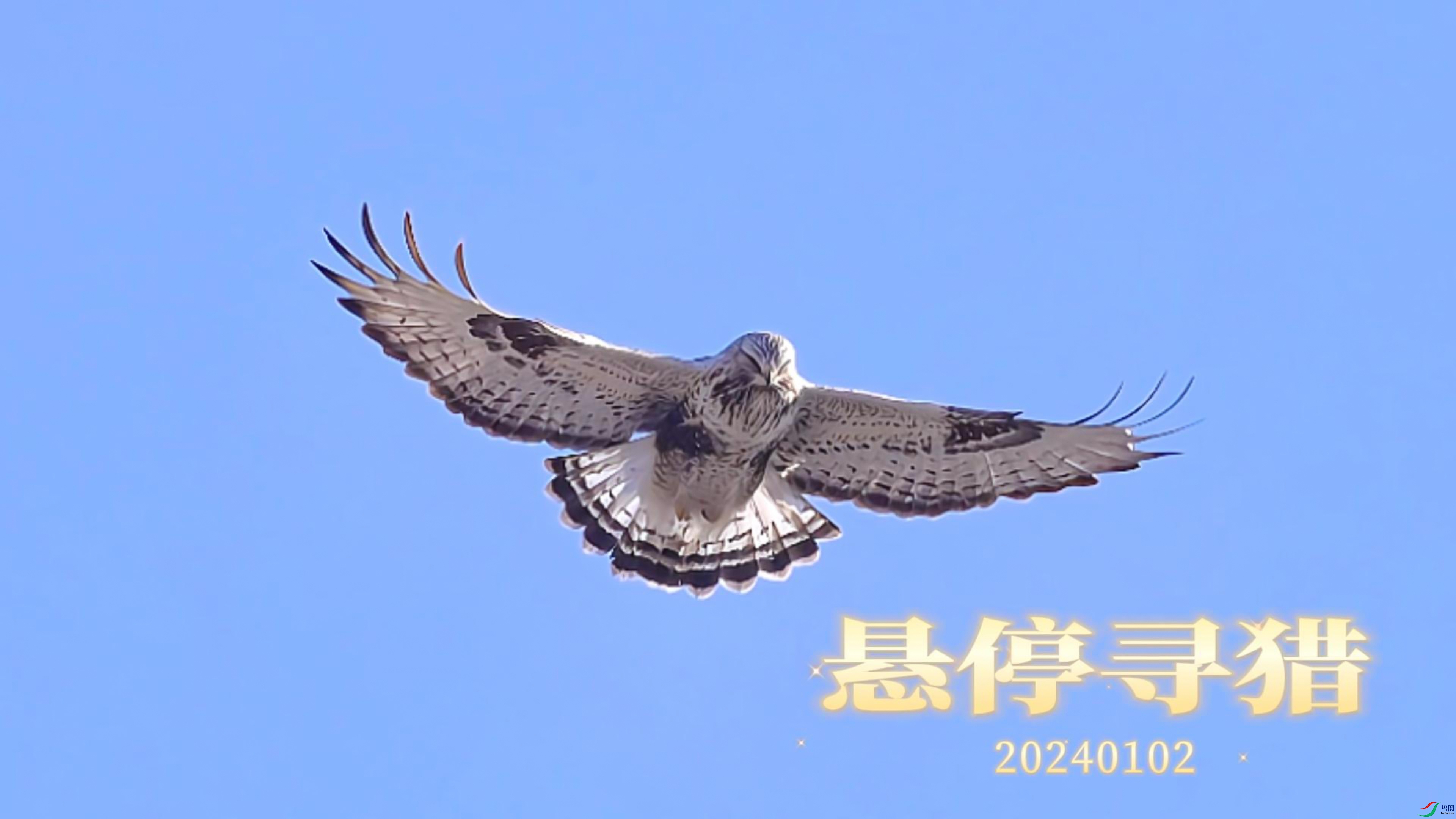 1��2�� ��ͣ.jpg