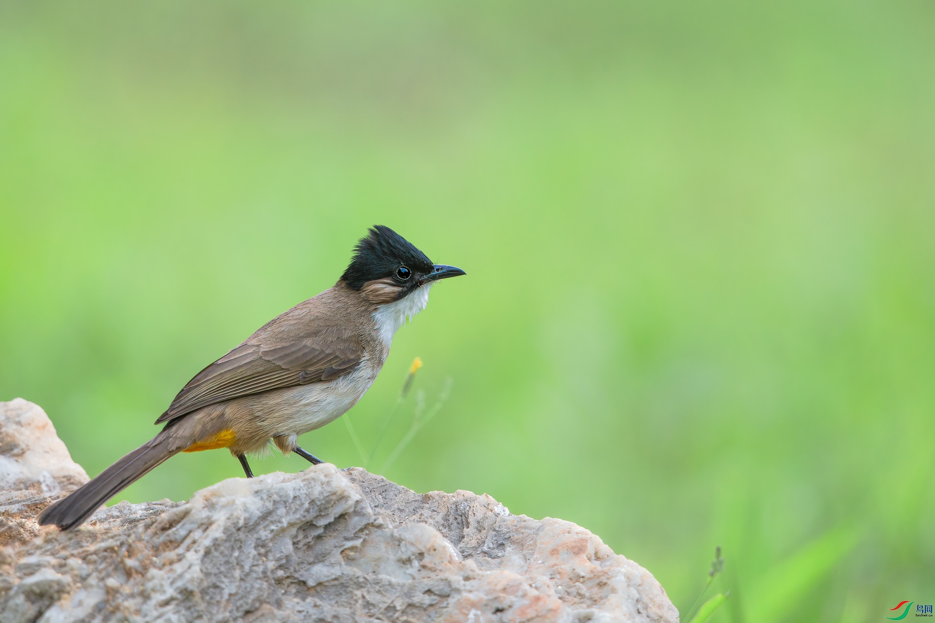 AQ4P1844-1.jpg