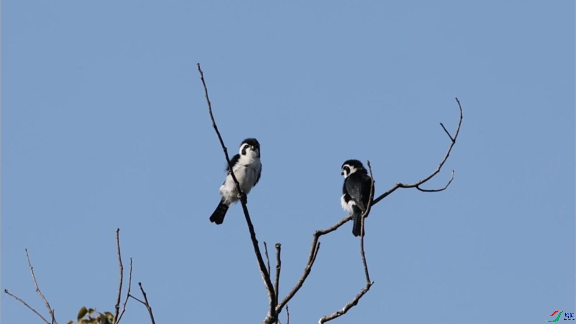 1��2��  С��-����.jpg