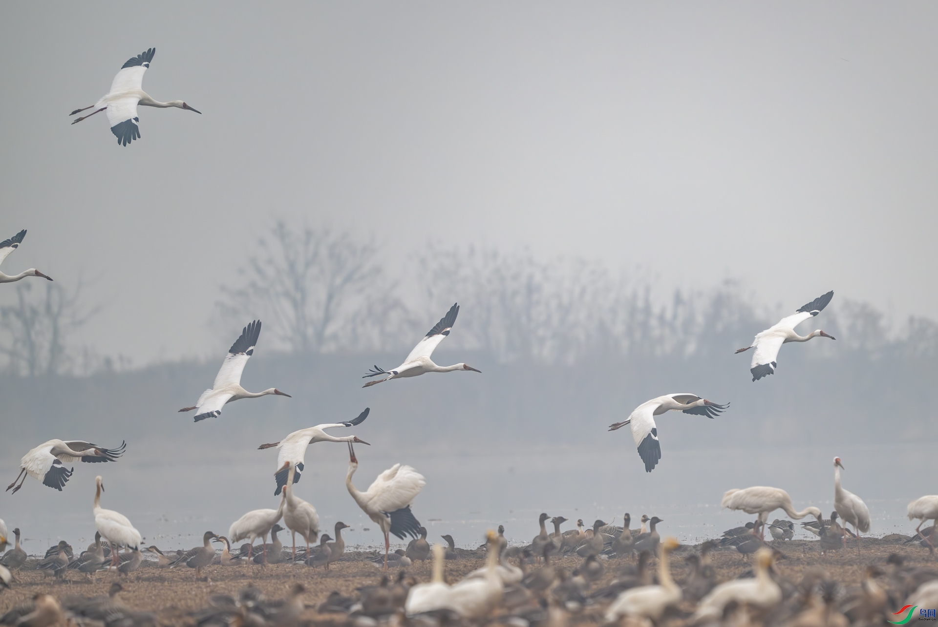 DSC_3323-1.jpg
