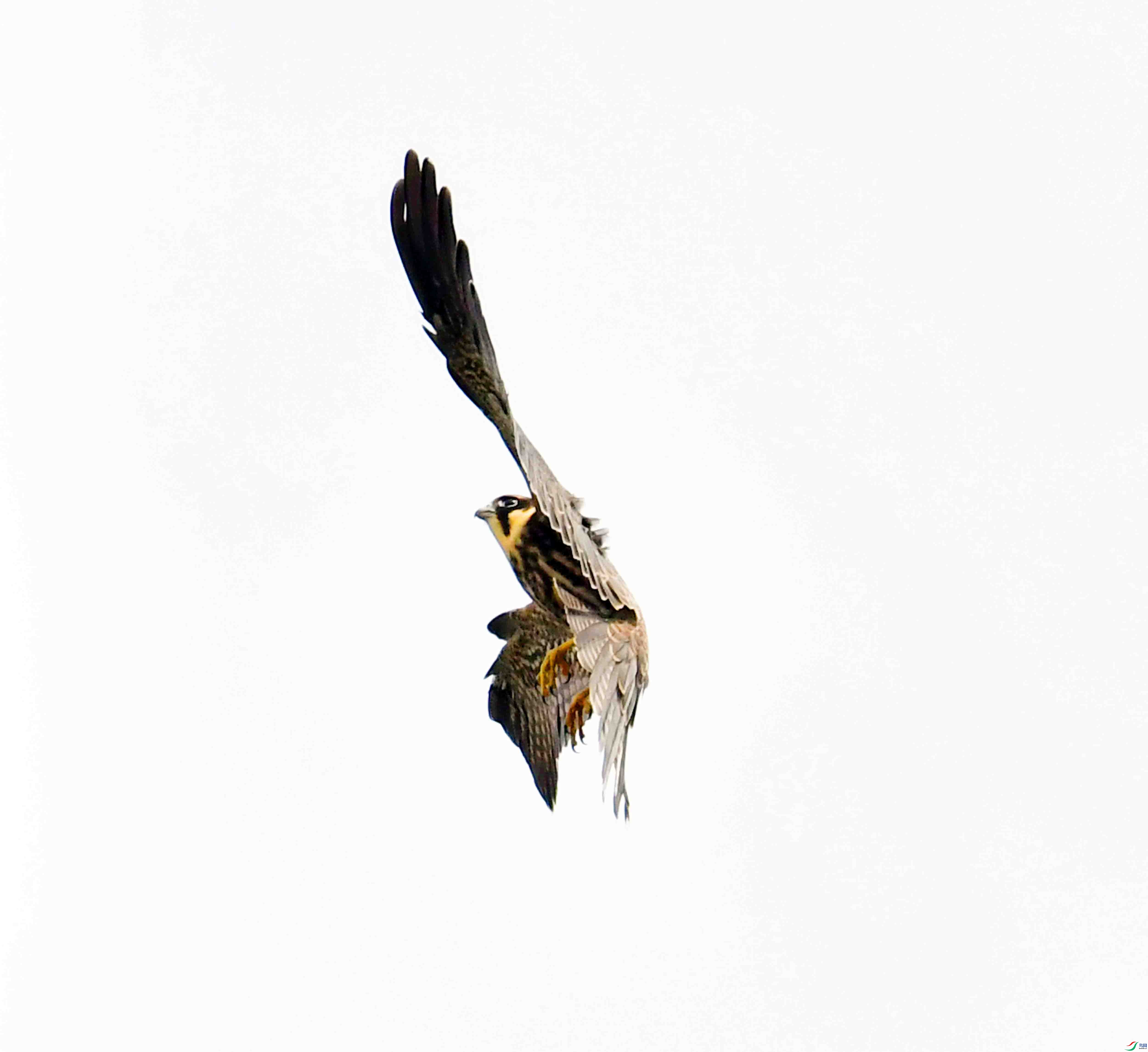 DSC_3424.JPG