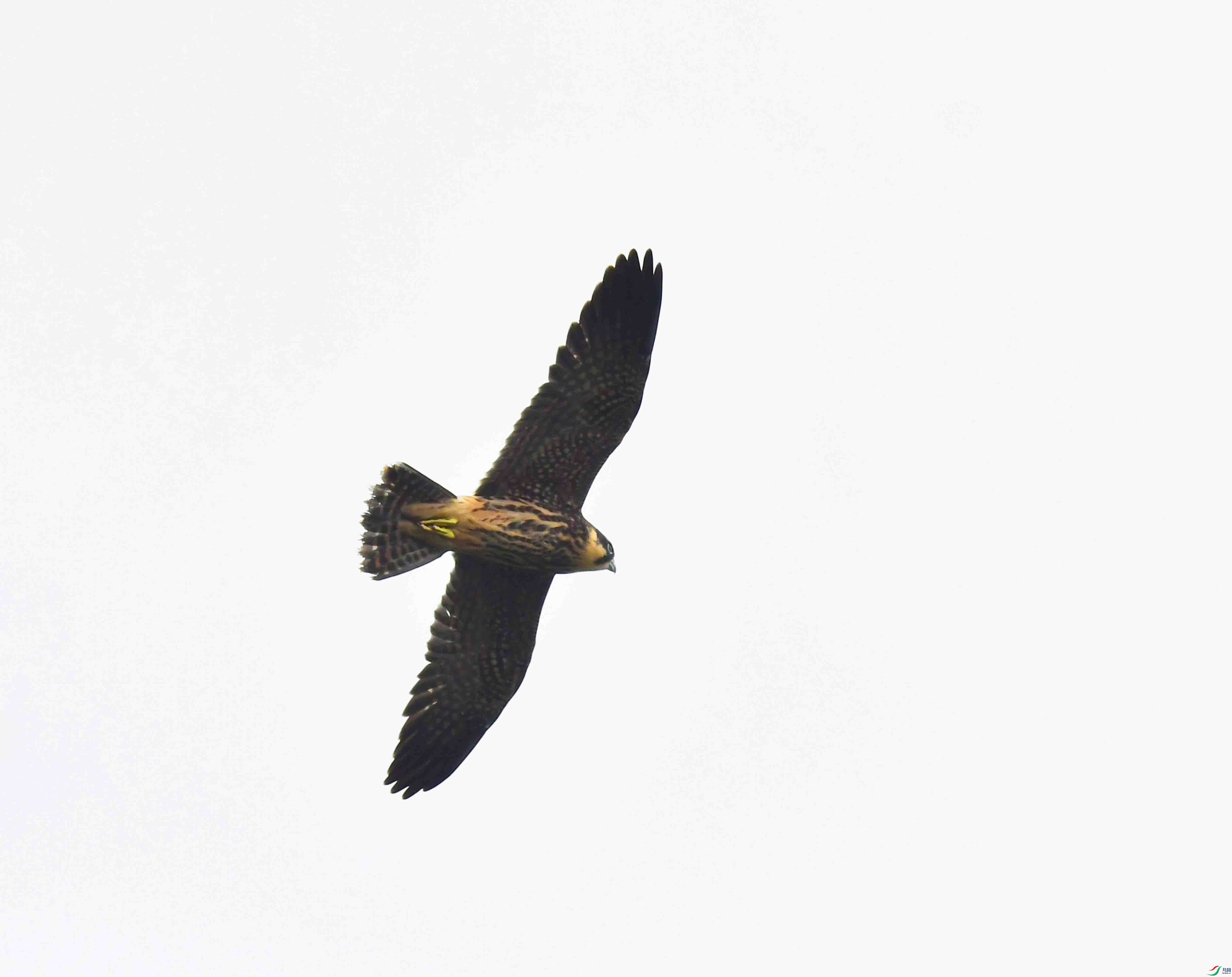 DSC_3507.JPG