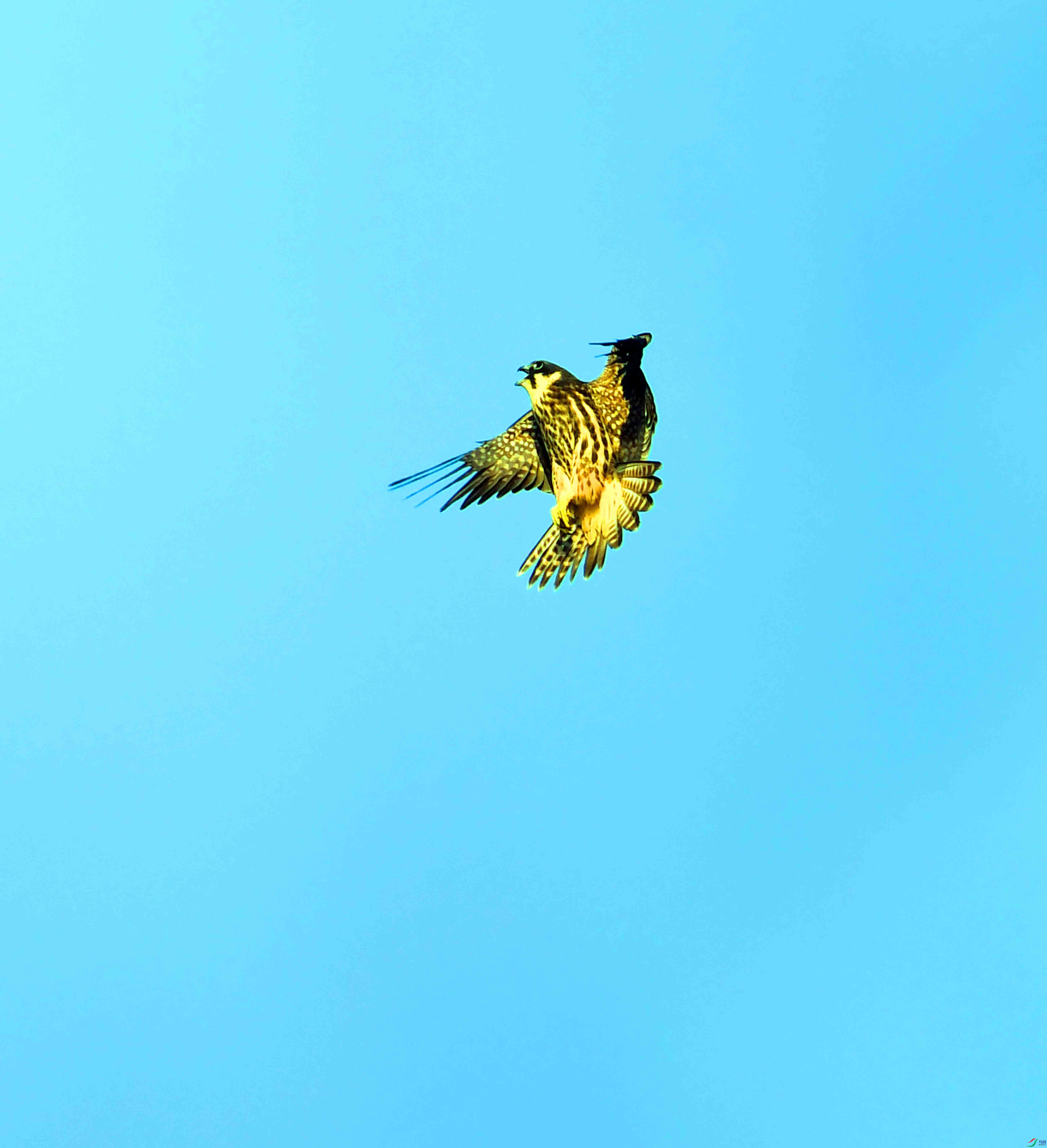 DSC_3510.JPG